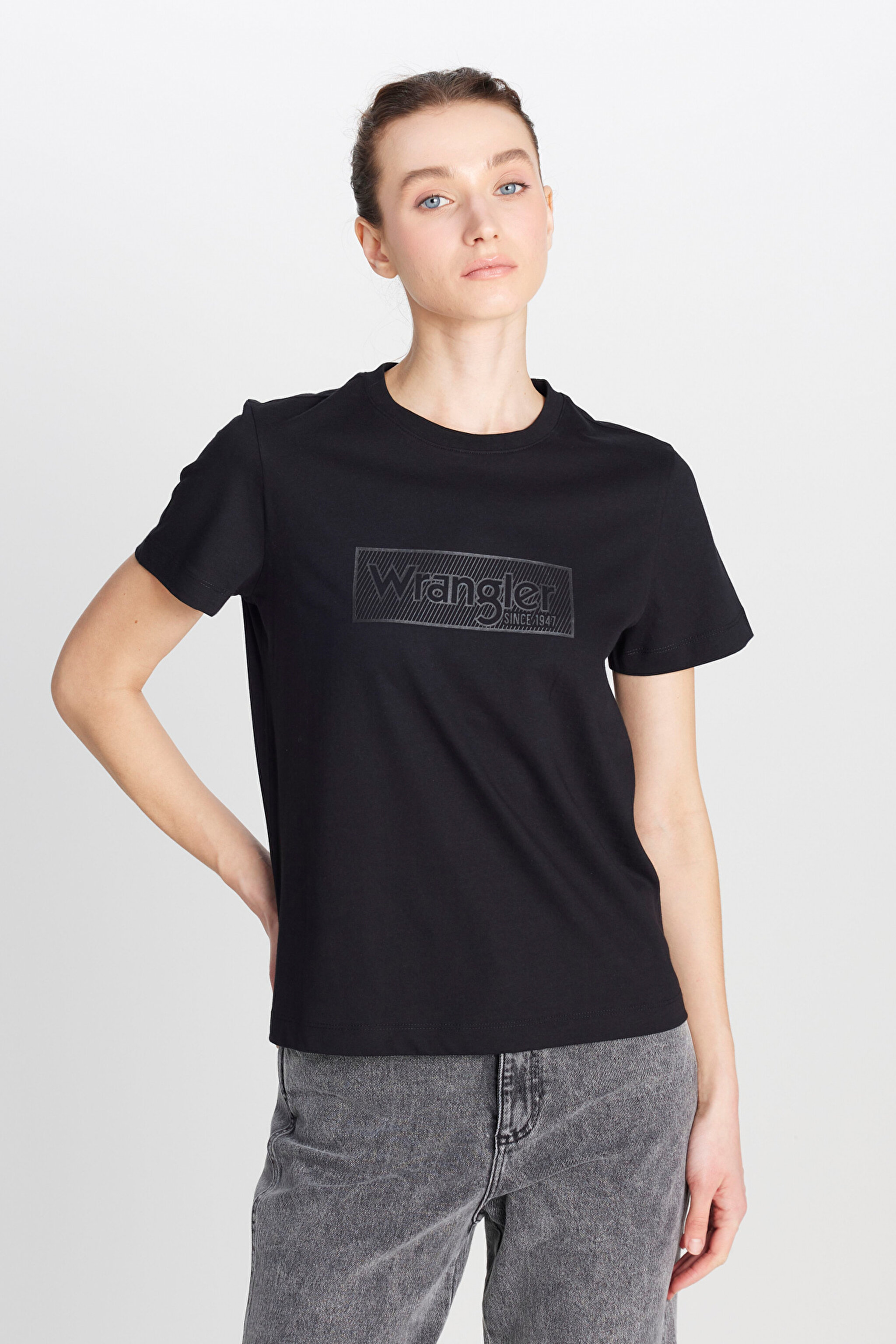 Regular Fit Normal Kesim Bisiklet Yaka %100 Pamuk Siyah Tişört - Black-W2510755001 (görsel 2)