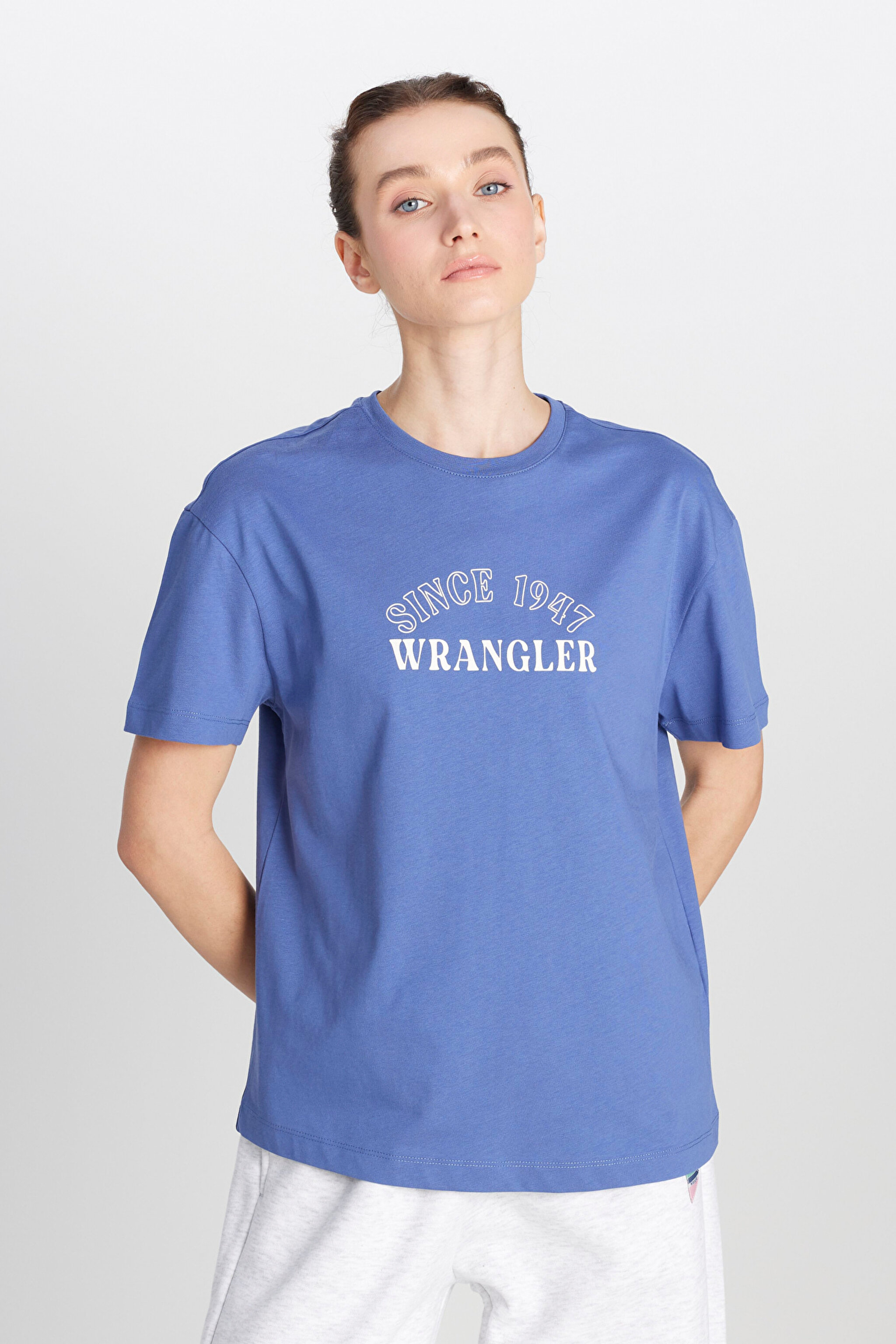 Regular Fit Normal Kesim Bisiklet Yaka %100 Pamuk Mavi Tişört - Surf Blue-W2510758QF