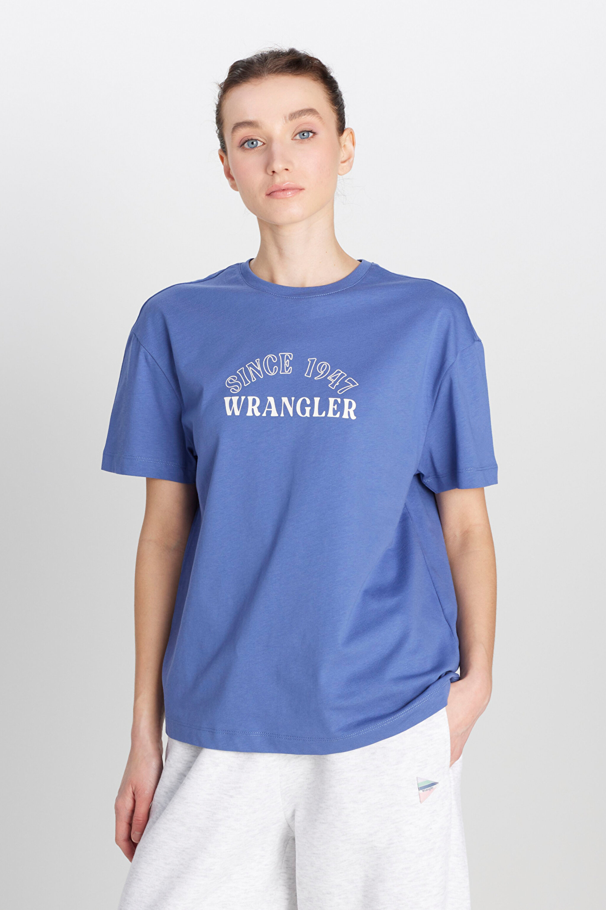 Regular Fit Normal Kesim Bisiklet Yaka %100 Pamuk Mavi Tişört - Surf Blue-W2510758QF (görsel 2)