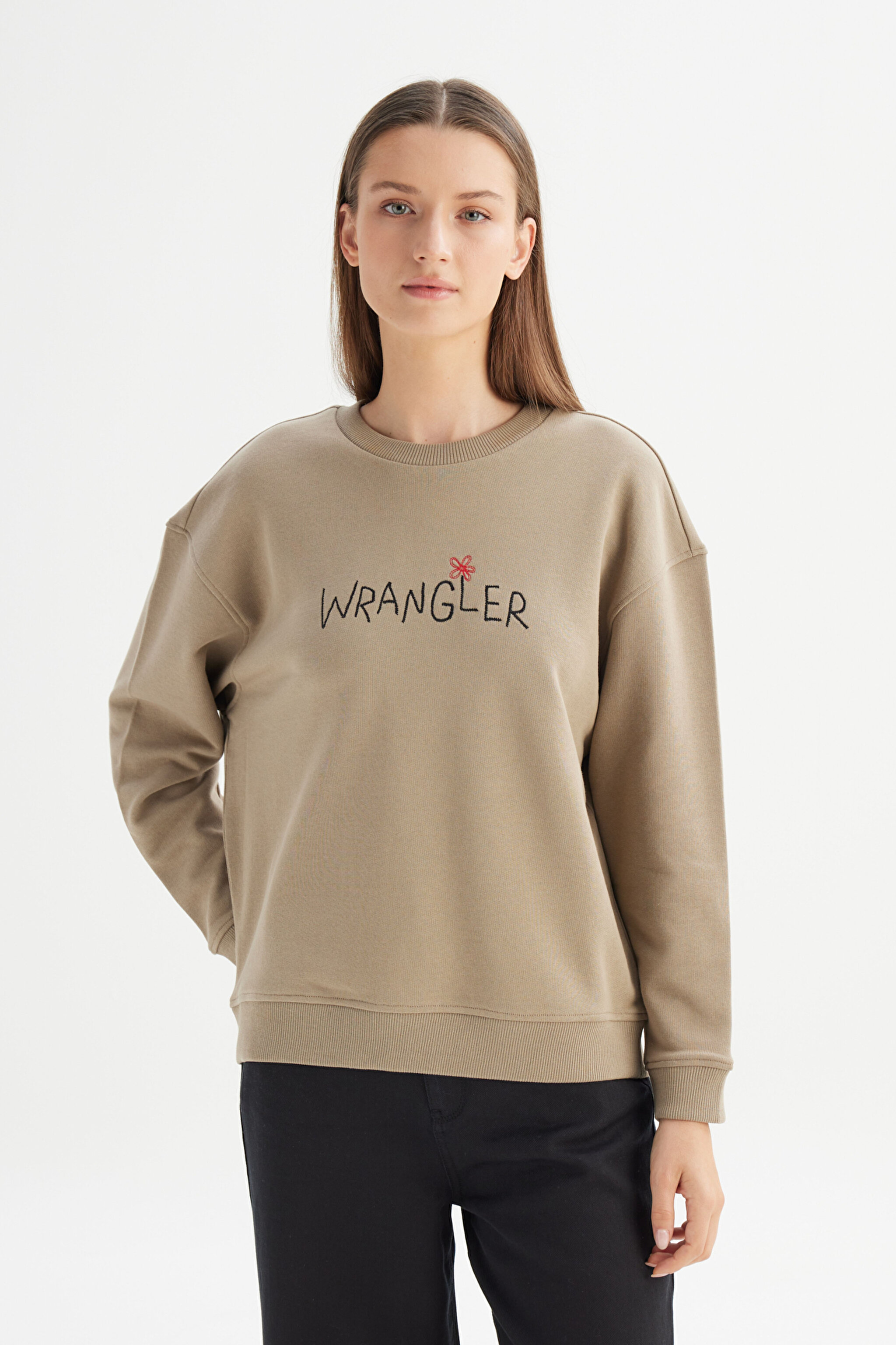 %100 Pamuk Relaxed Fit Geniş Bisiklet Yaka Bej Big Logo Sweatshirt - Beige-W2520094614 (görsel 3)
