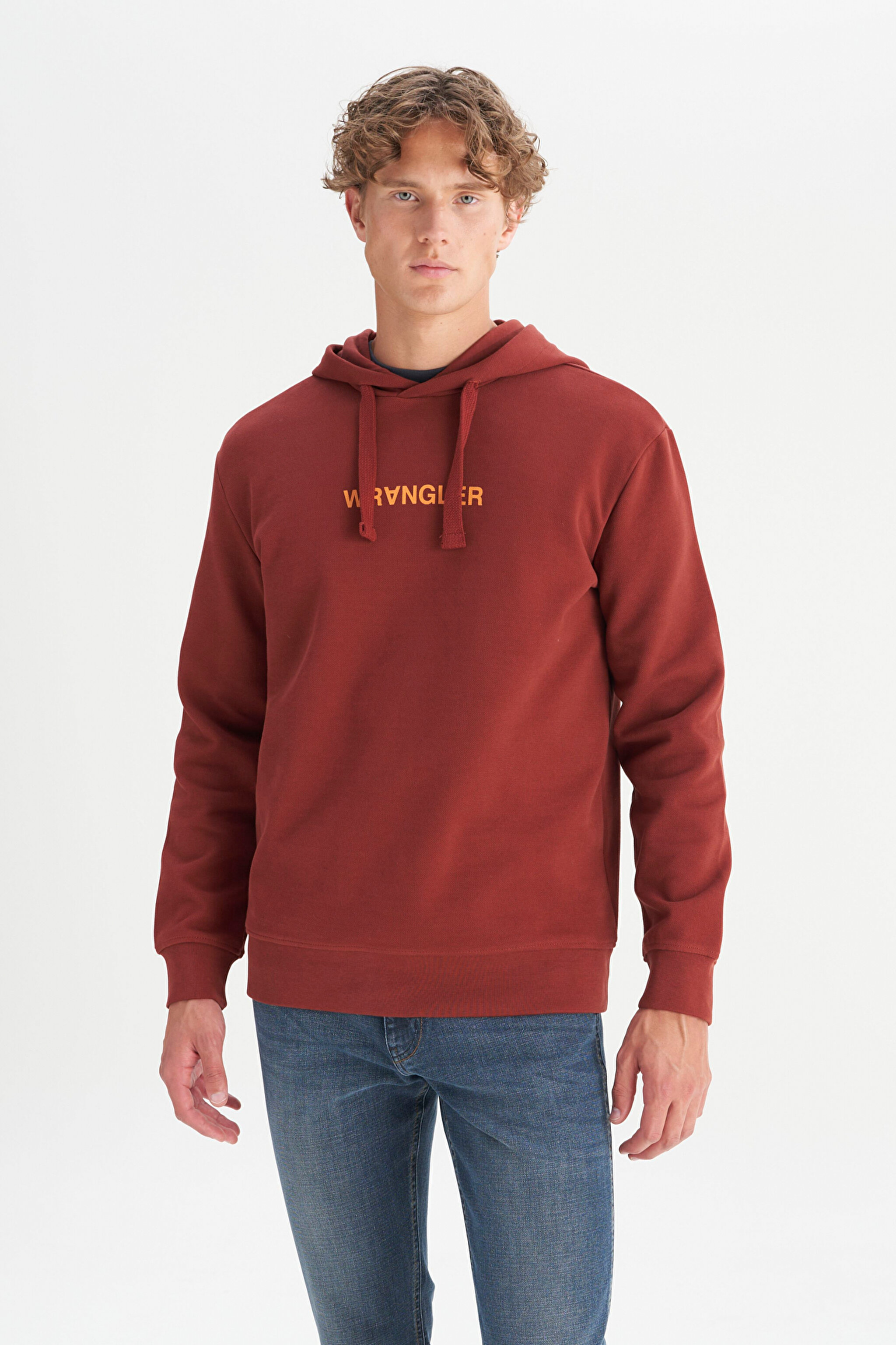 Pamuklu Regular Fit Normal Kesim Kapüşonlu Logo Detaylı Sweatshirt