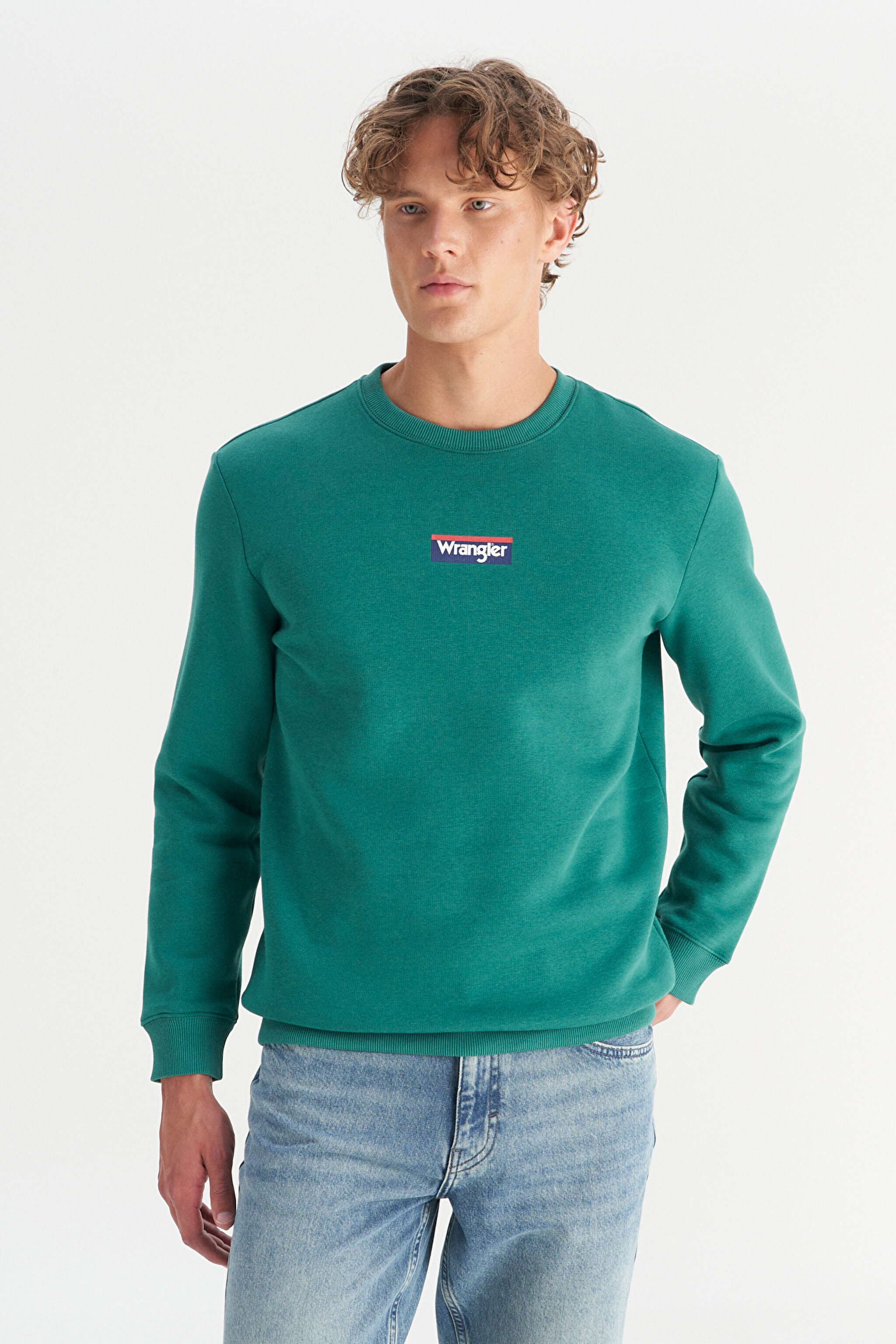 Regular Fit Normal Kesim Bisiklet Yaka İçi Polarlı Yeşil Sweatshirt - Green-W2520133300 (görsel 3)