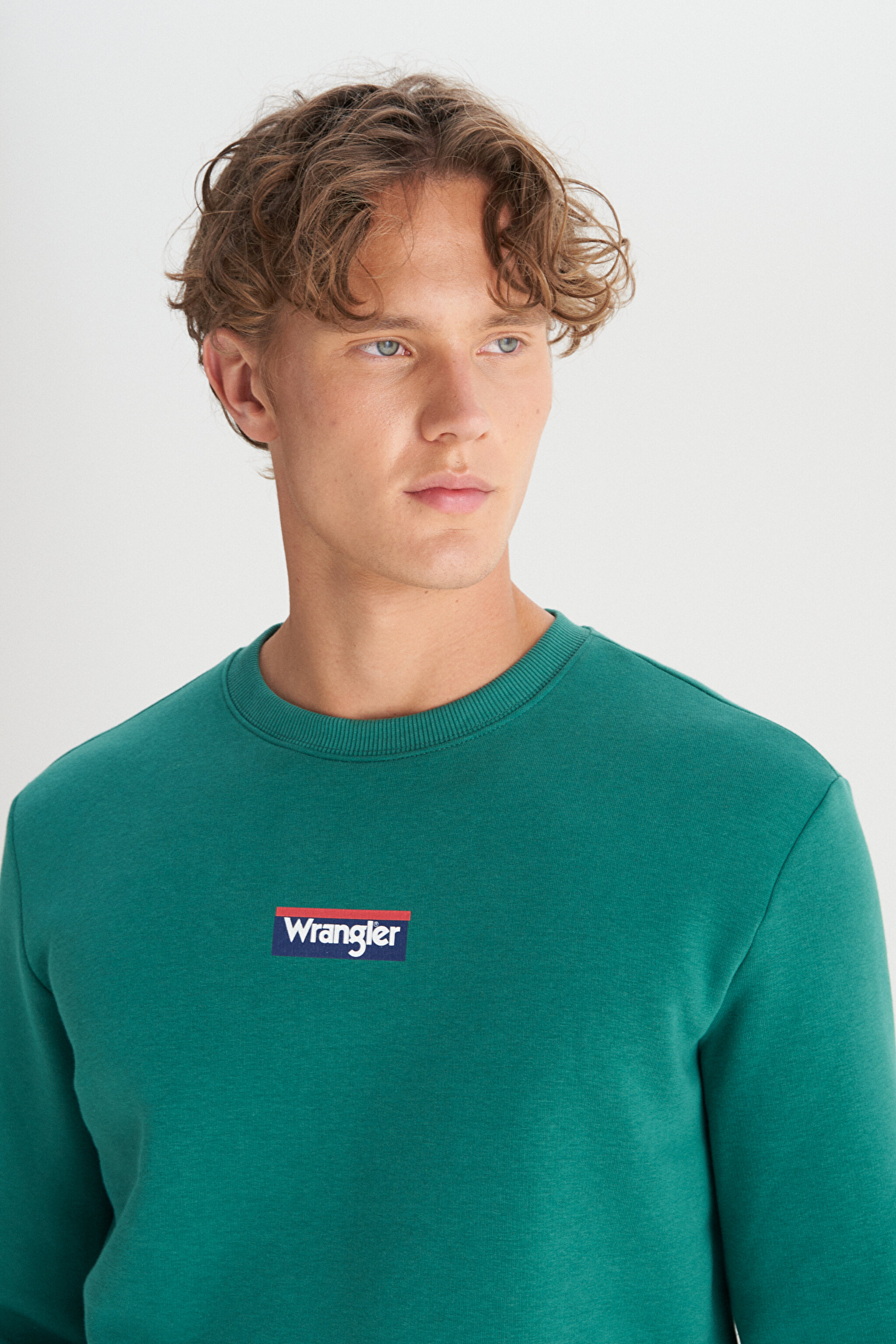 Regular Fit Normal Kesim Bisiklet Yaka İçi Polarlı Yeşil Sweatshirt - Green-W2520133300 (görsel 4)