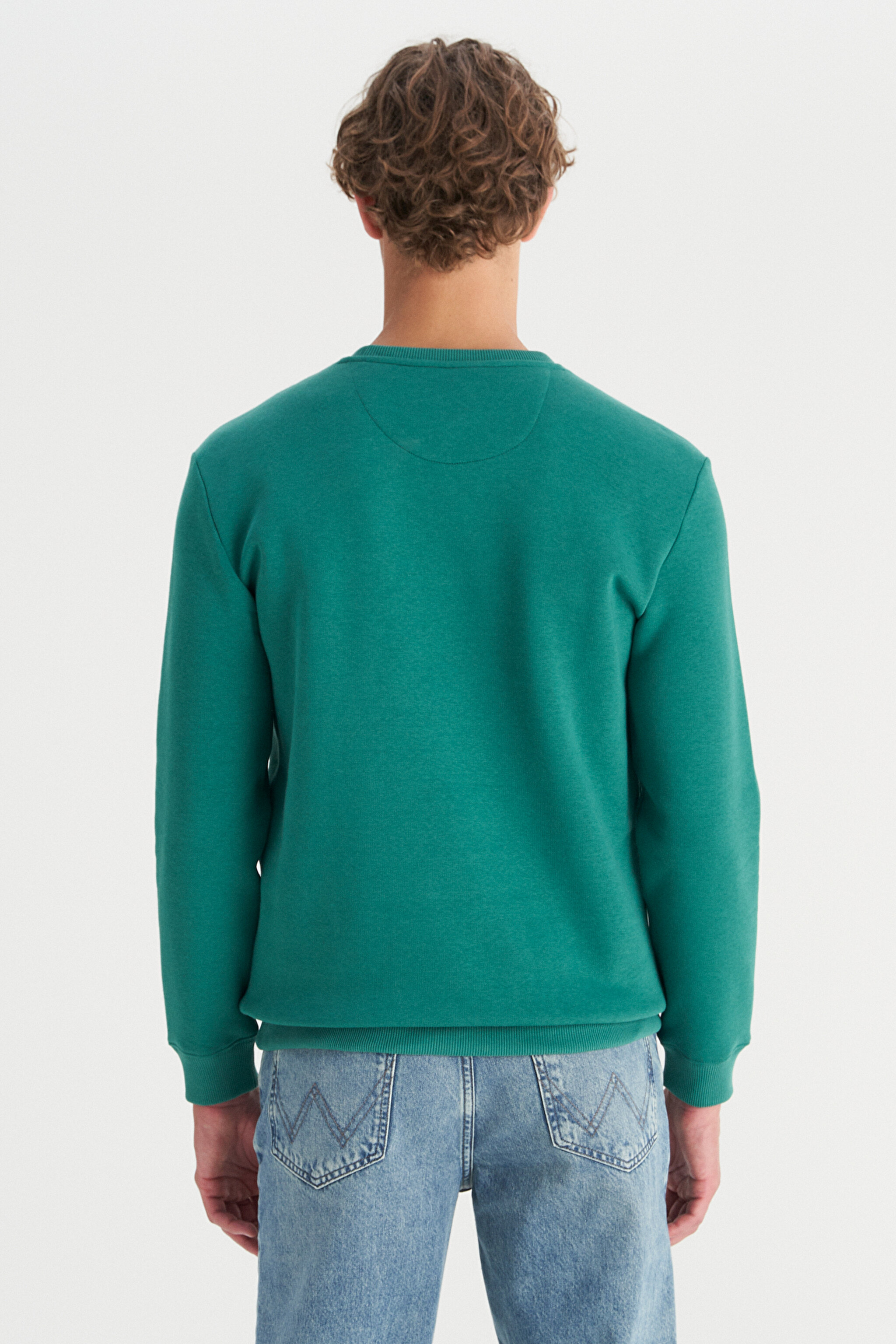 Regular Fit Normal Kesim Bisiklet Yaka İçi Polarlı Yeşil Sweatshirt - Green-W2520133300 (görsel 5)