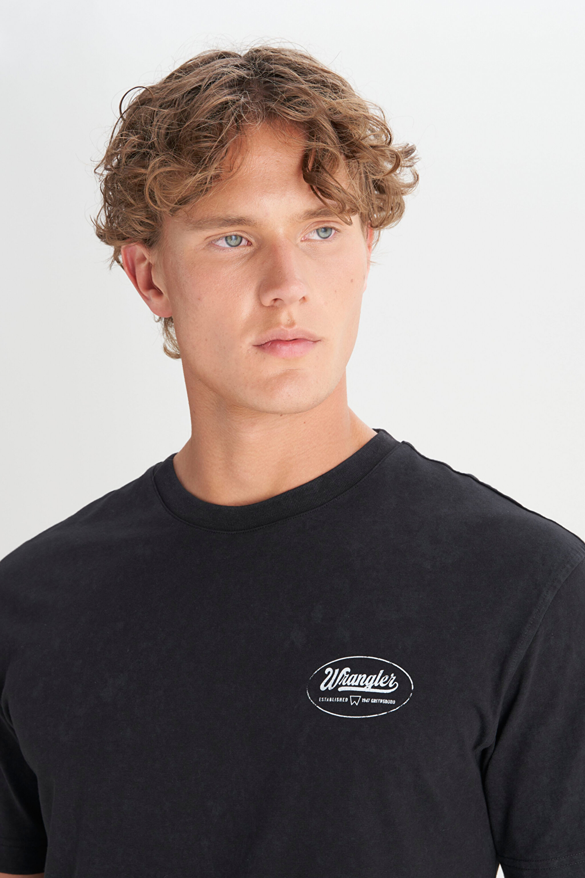 %100 Pamuk Relaxed Fit Rahat Kesim Bisiklet Yaka Tişört - Black-W2520221001 (görsel 5)
