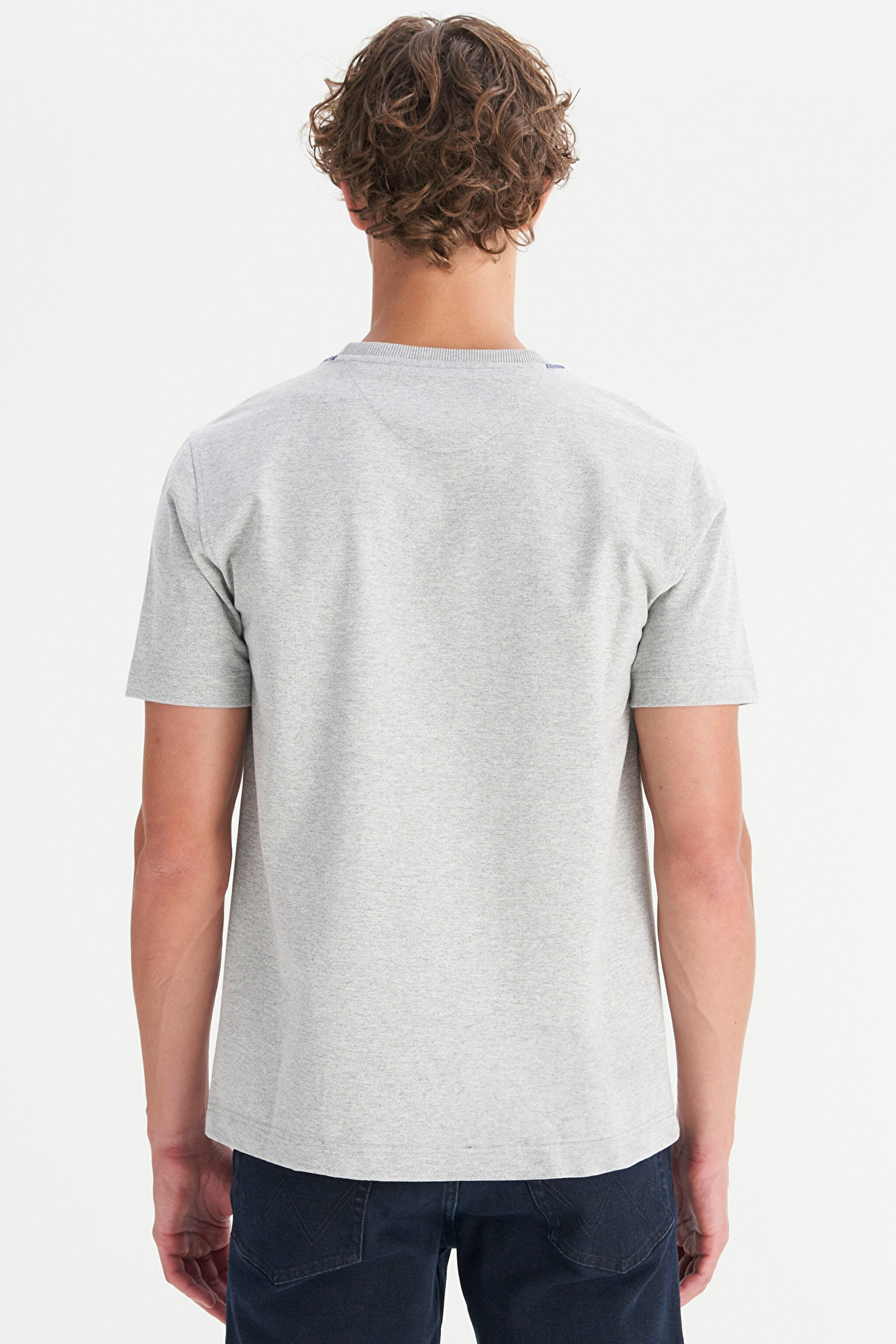 %100 Pamuk Regular Fit Normal Kesim Bisiklet Yaka Logo Detaylı Tişört - Gray Melange-W252024036 (görsel 5)