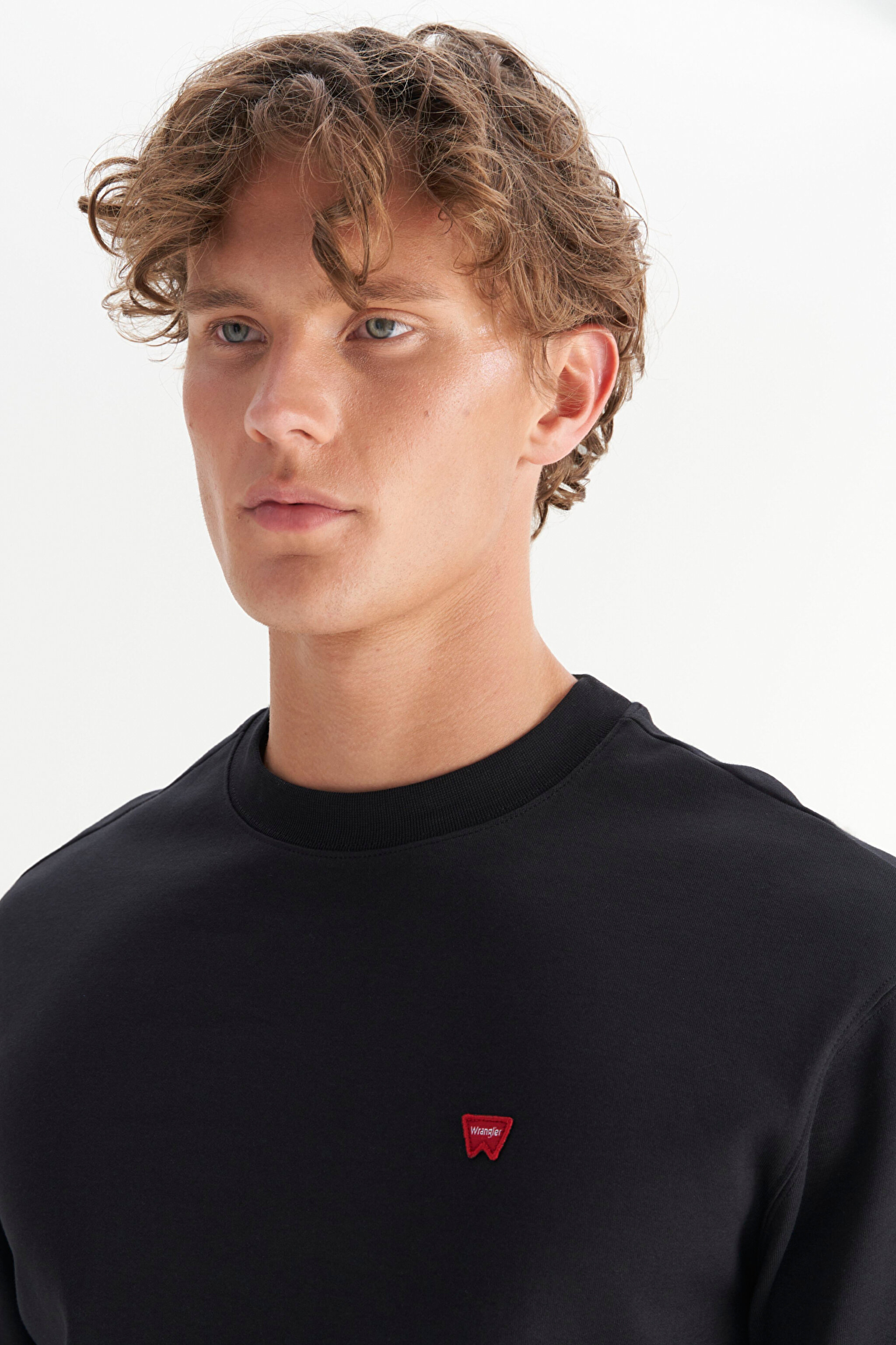 Pamuklu Regular Fit Normal Kesim Bisiklet Yaka Logo Detaylı Sweatshirt - Black-W2520255001 (görsel 4)