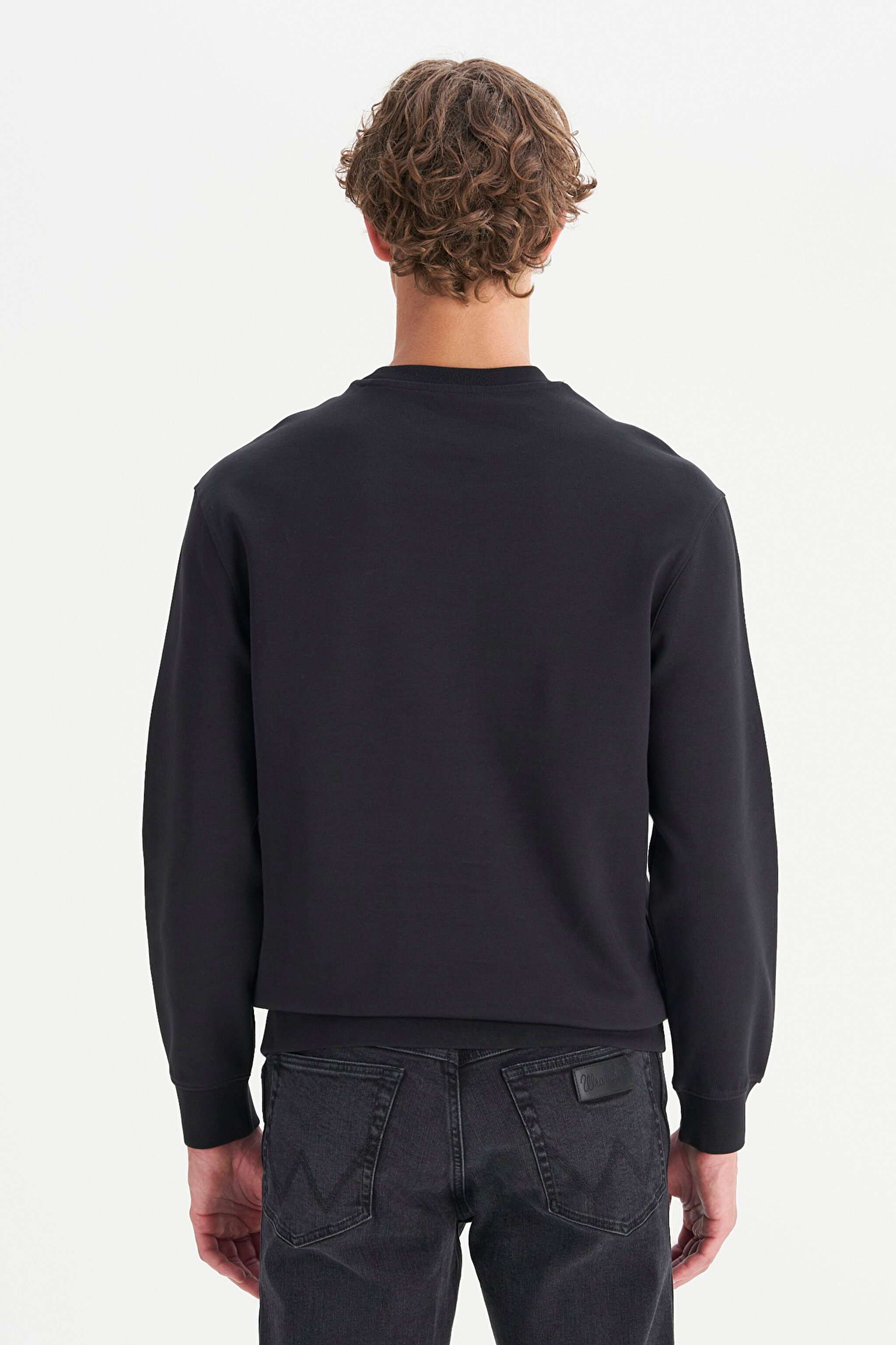 Pamuklu Regular Fit Normal Kesim Bisiklet Yaka Logo Detaylı Sweatshirt - Black-W2520255001 (görsel 5)