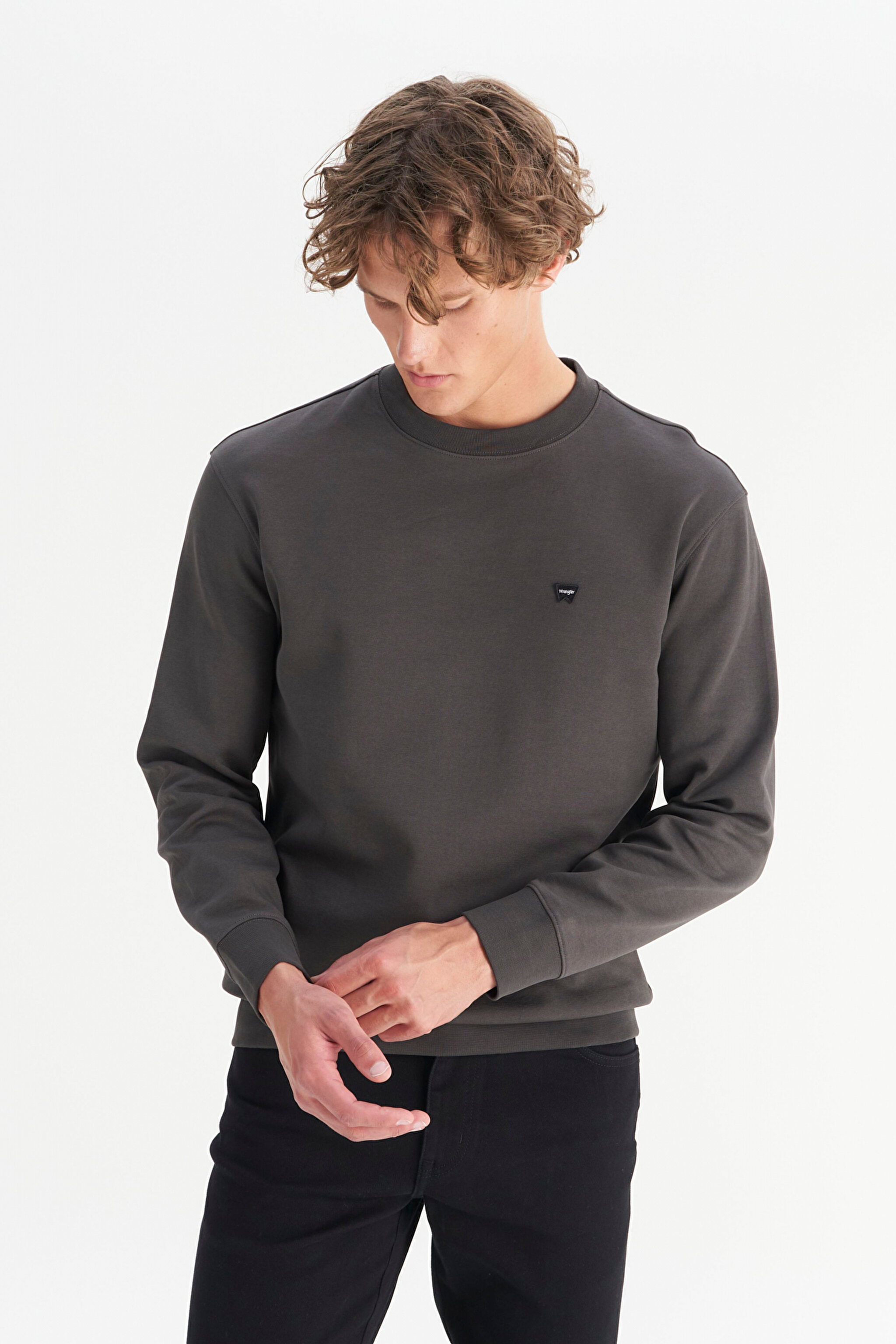 Pamuklu Regular Fit Normal Kesim Bisiklet Yaka Logo Detaylı Sweatshirt - FadedBlack-W252025533W (görsel 3)