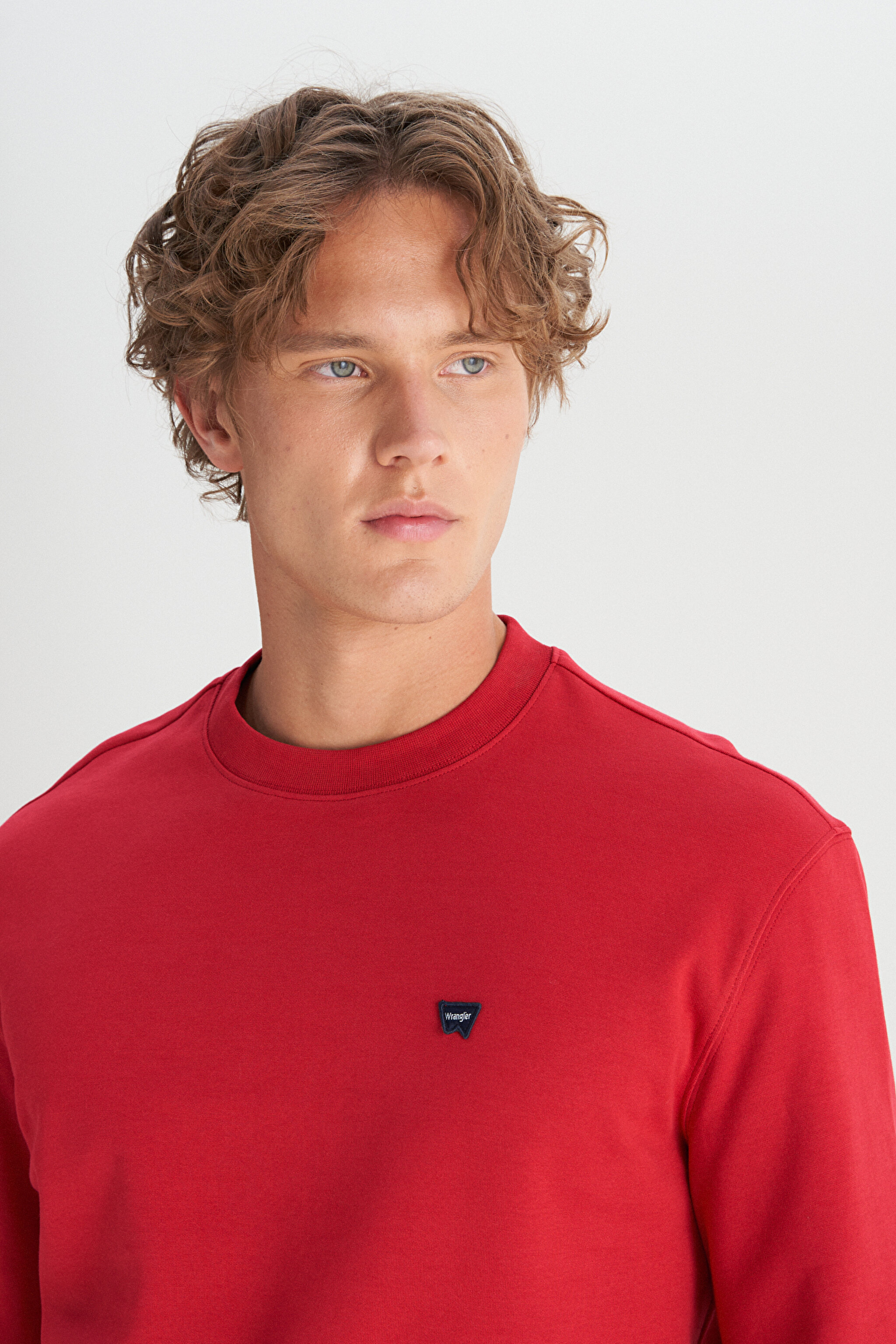 Pamuklu Regular Fit Normal Kesim Bisiklet Yaka Logo Detaylı Sweatshirt - Red-W2520255A47 (görsel 4)