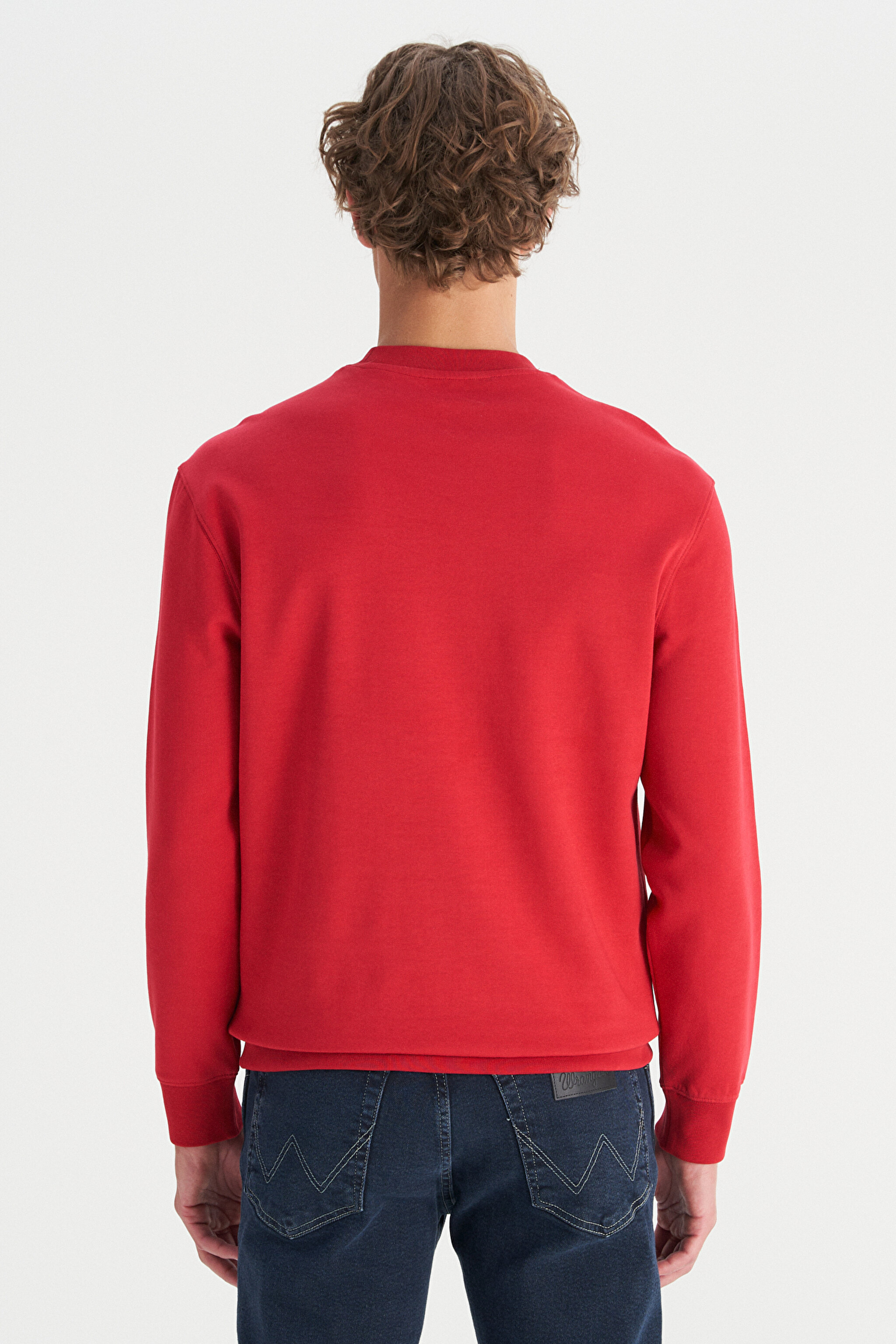 Pamuklu Regular Fit Normal Kesim Bisiklet Yaka Logo Detaylı Sweatshirt - Red-W2520255A47 (görsel 5)
