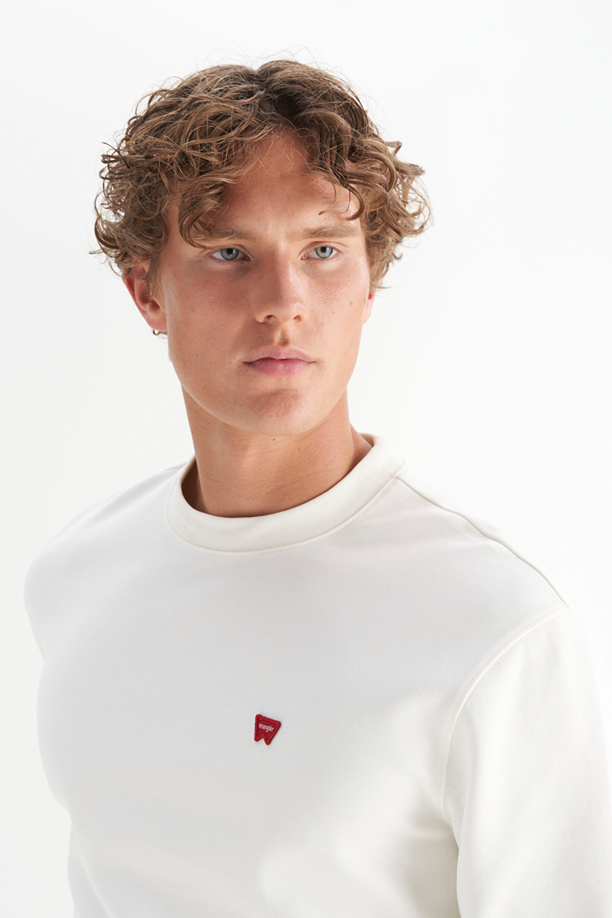 Pamuklu Regular Fit Normal Kesim Bisiklet Yaka Logo Detaylı Sweatshirt - Worn White-W2520255W02 (görsel 4)