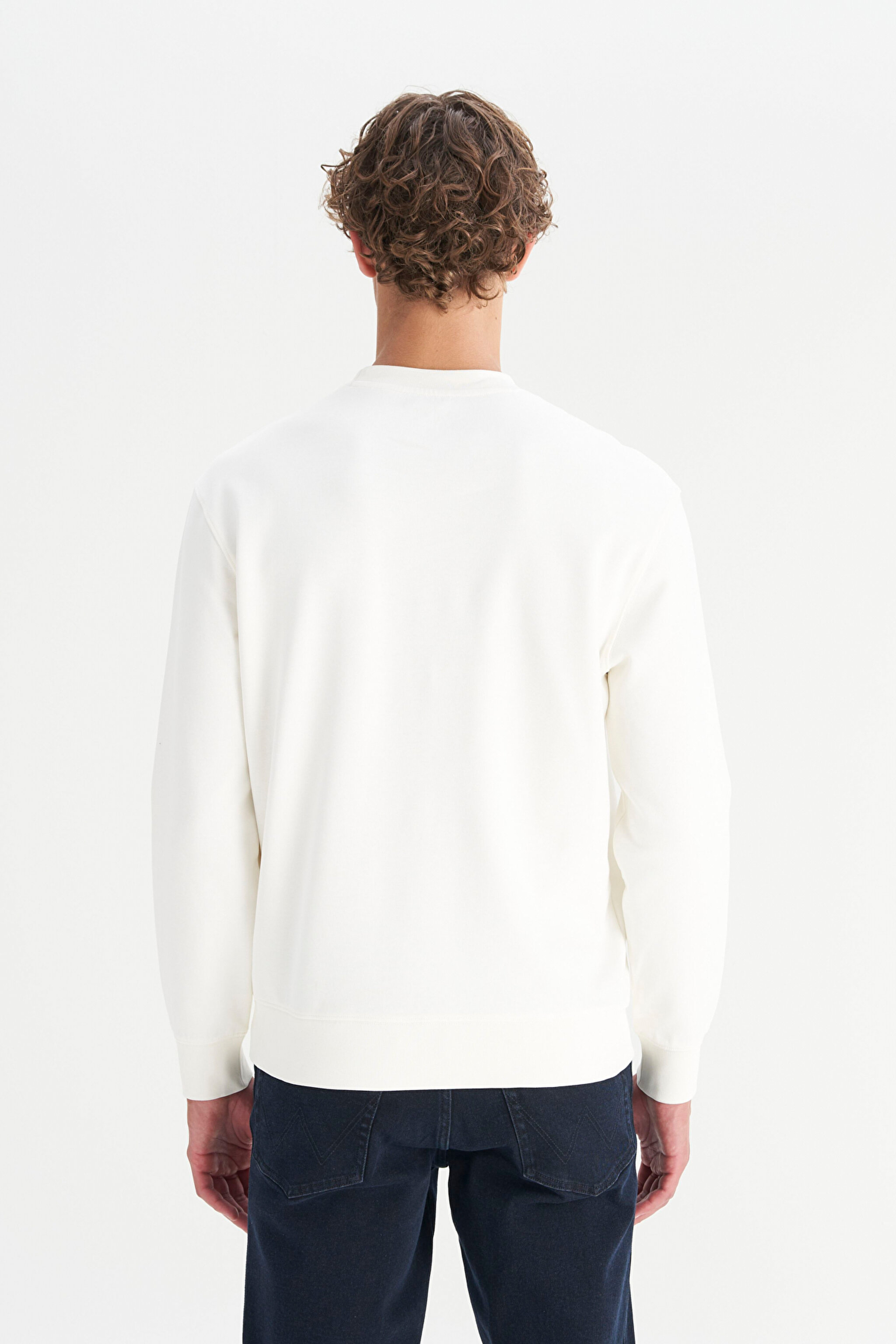 Pamuklu Regular Fit Normal Kesim Bisiklet Yaka Logo Detaylı Sweatshirt - Worn White-W2520255W02 (görsel 5)