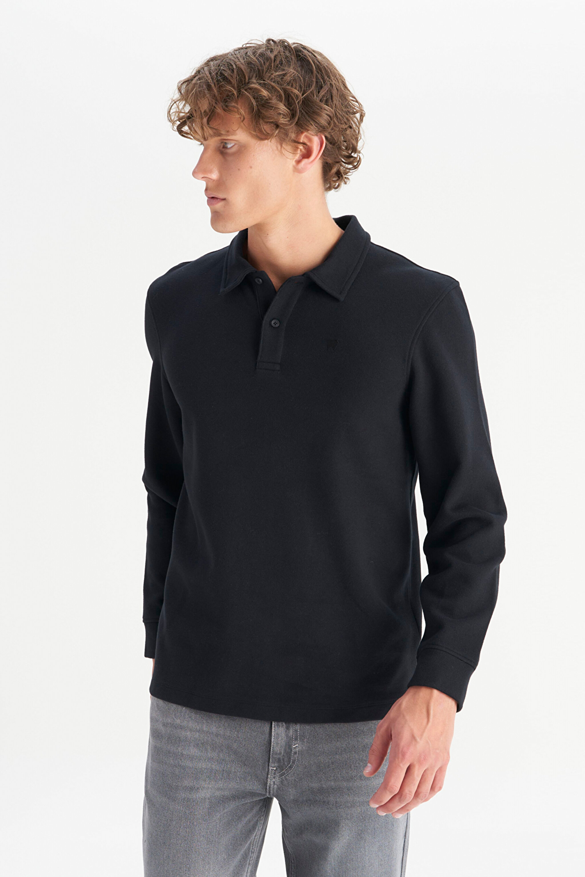 Pamuklu Regular Fit Normal Kesim Polo Yaka Tişört - Black-W2520381001 (görsel 3)