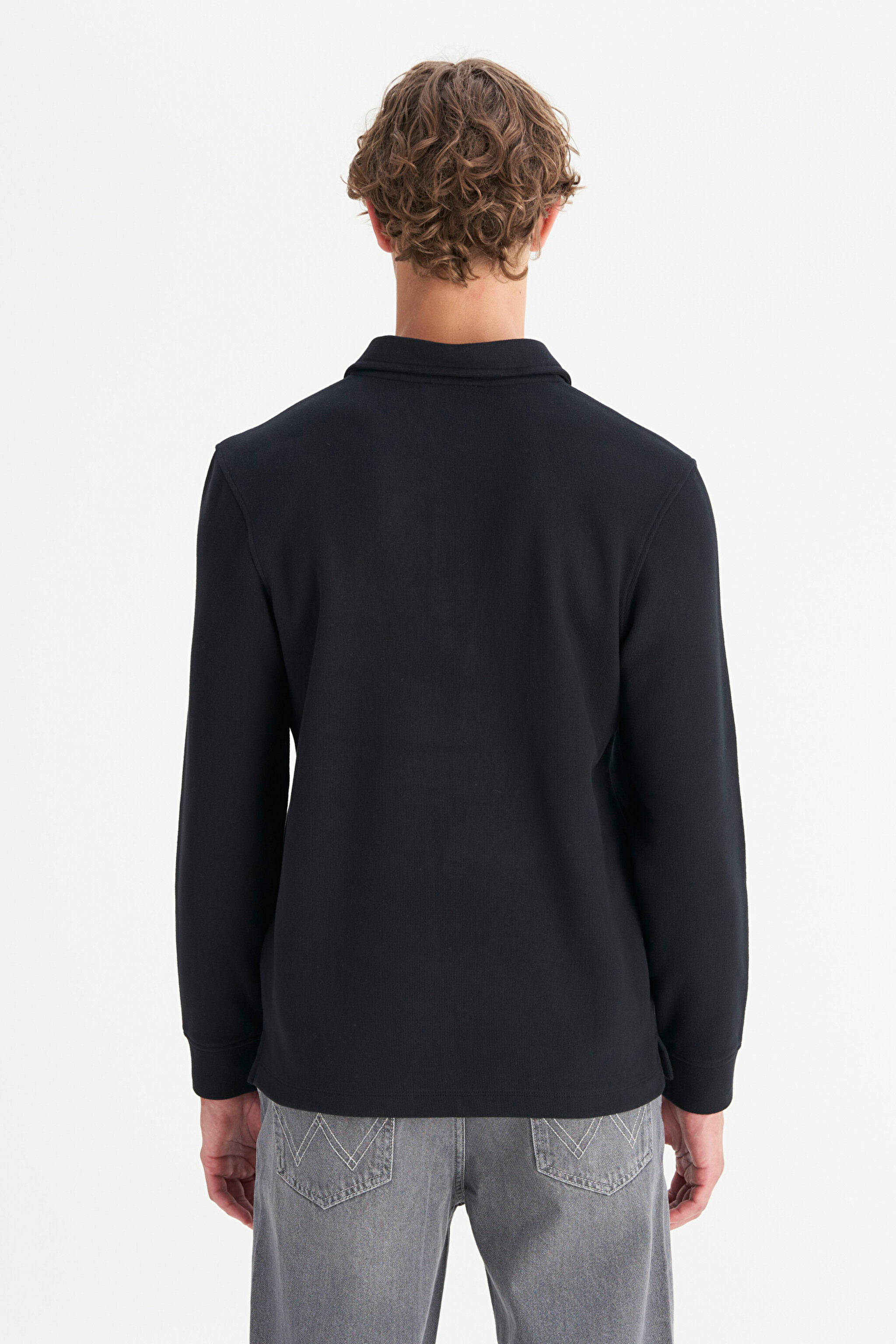 Pamuklu Regular Fit Normal Kesim Polo Yaka Tişört - Black-W2520381001 (görsel 5)