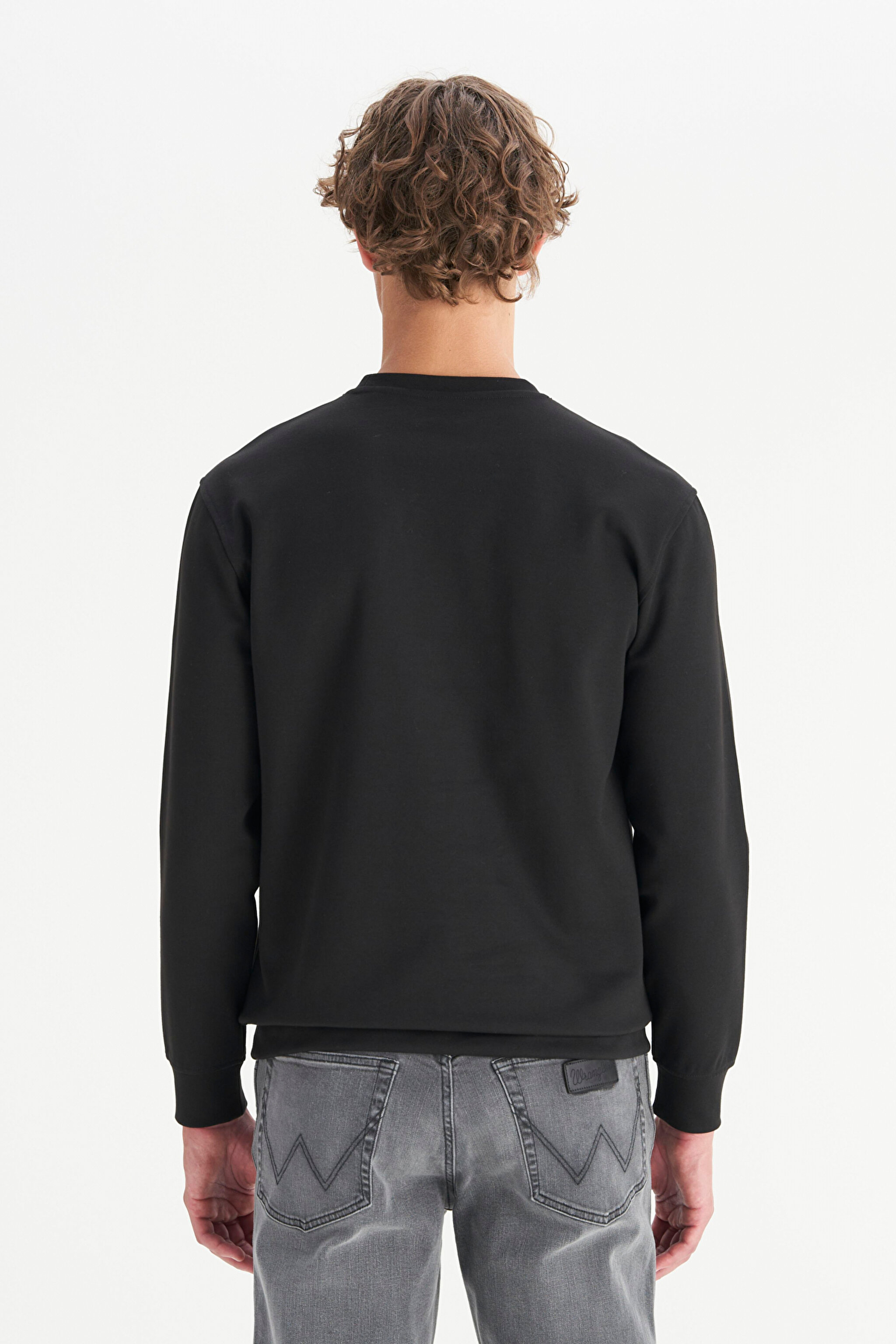 Pamuklu Regular Fit Normal Kesim Bisiklet Yaka Sweatshirt - Black-W2520534001 (görsel 5)
