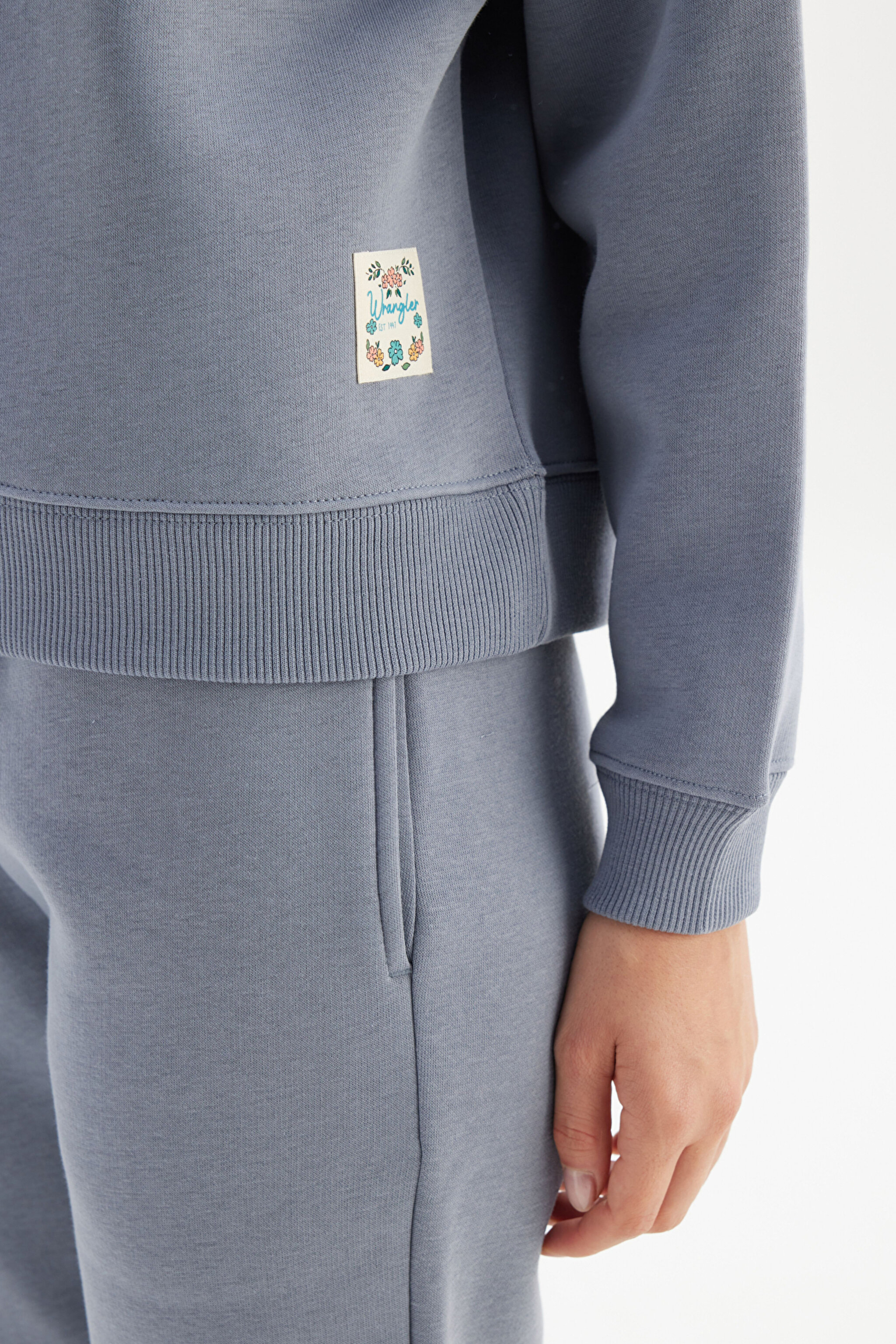 Relaxed Fit Geniş Kesim Bisiklet Yaka İçi Polarlı Mavi Sweatshirt - Blue-W2520586400 (görsel 5)
