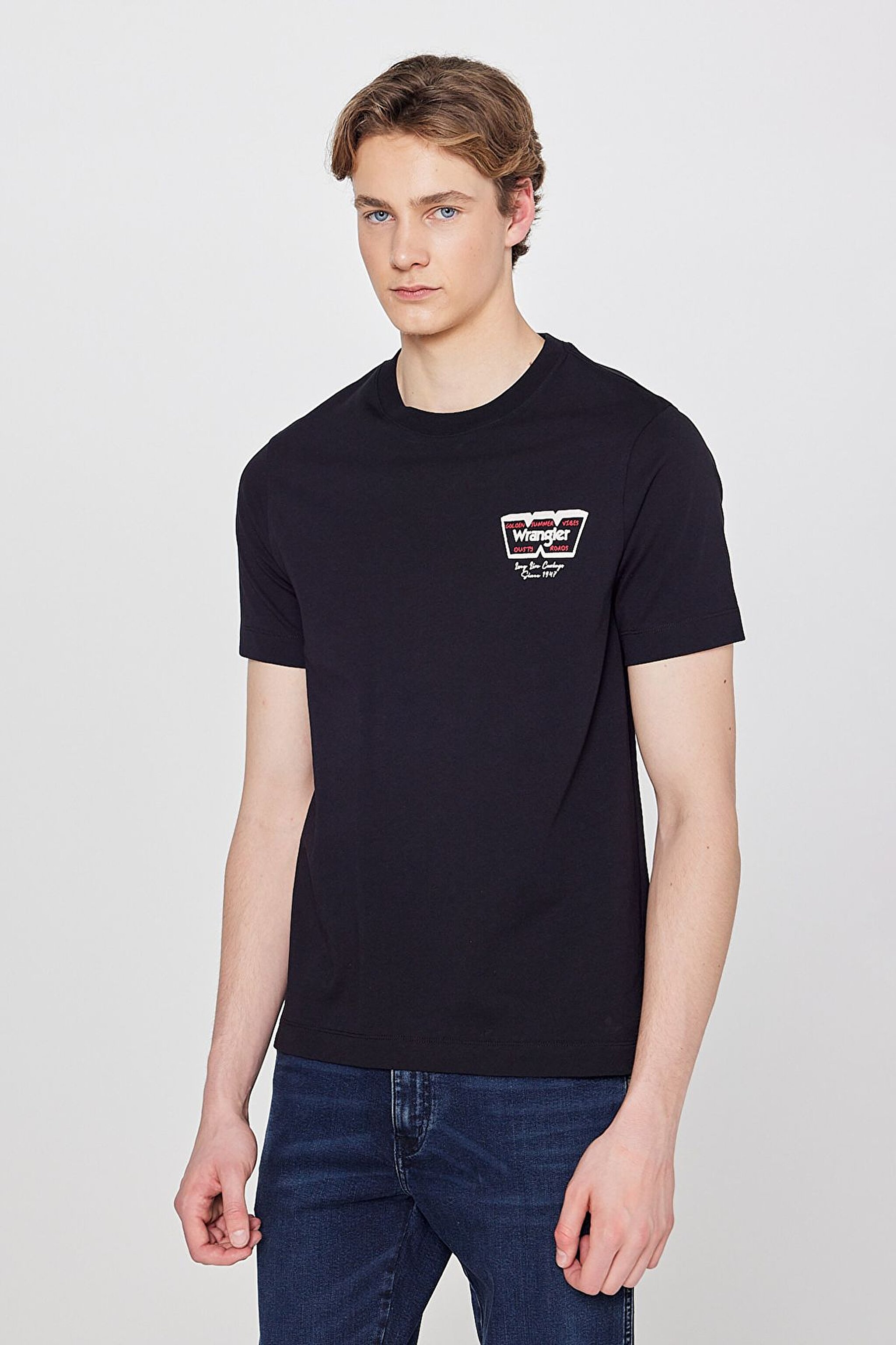 %100 Pamuk Regular Fit Normal Kesim Logo Detaylı Tişört - Black-W2610018001 (görsel 2)