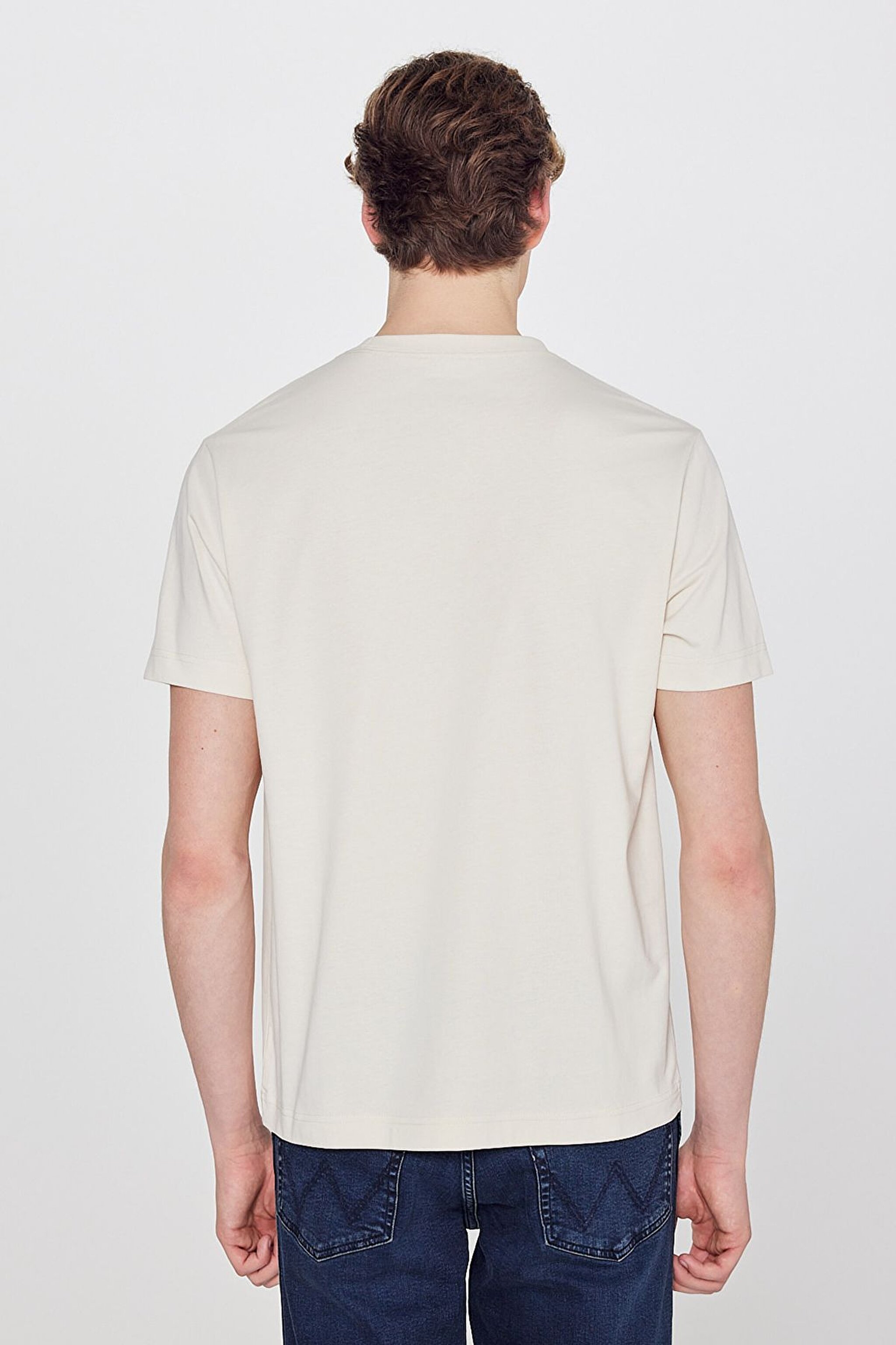 %100 Pamuk Regular Fit Normal Kesim Logo Detaylı Tişört - Beige-W2610018614 (görsel 5)