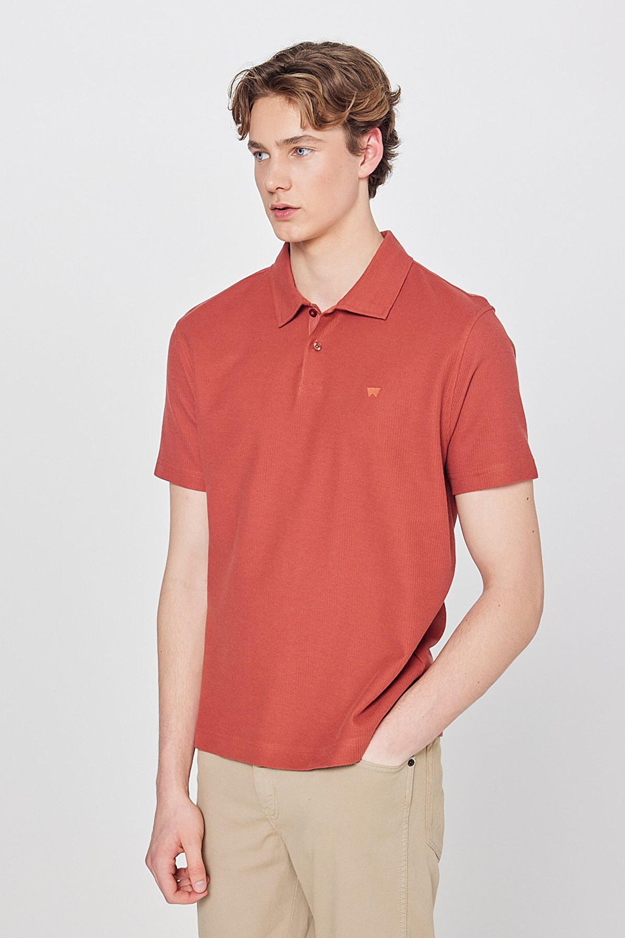 %100 Pamuk Regular Fit Normal Kesim Polo Yaka Tişört - Brick-W2610158222 (görsel 2)