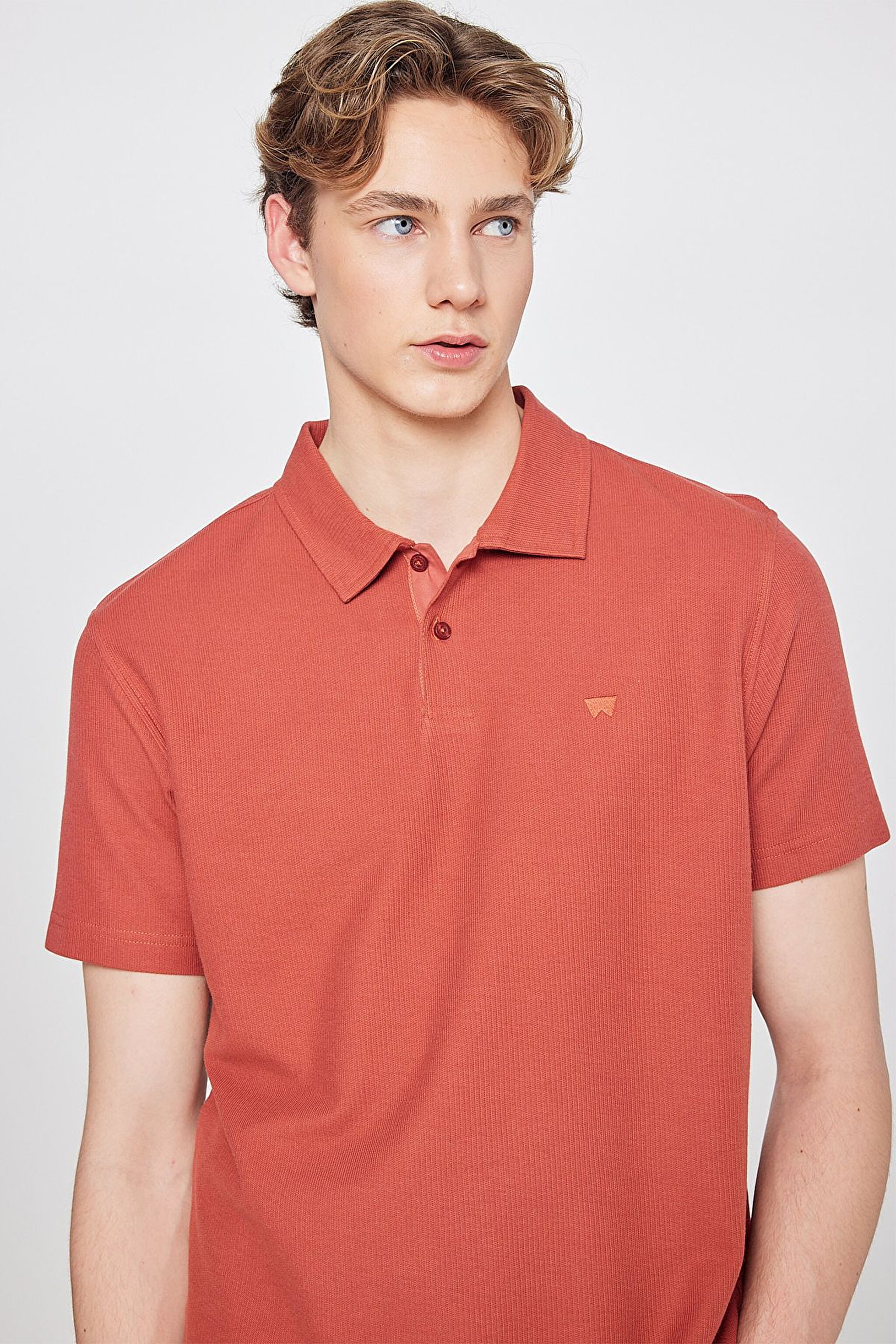 %100 Pamuk Regular Fit Normal Kesim Polo Yaka Tişört - Brick-W2610158222 (görsel 4)