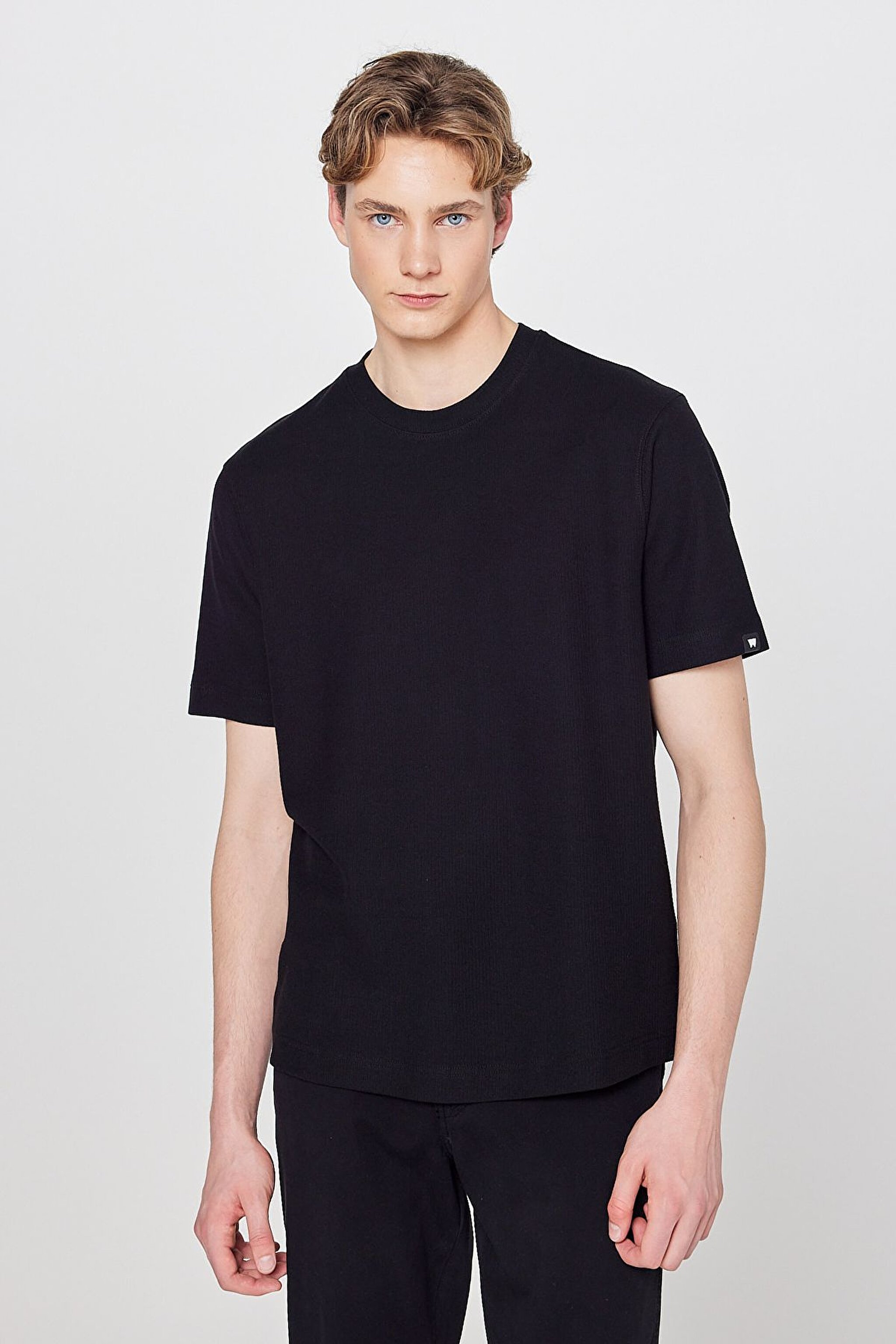 %100 Pamuk Regular Fit Normal Kesim Bisiklet Yaka Basic Premium Tişört - Black-W2610159001