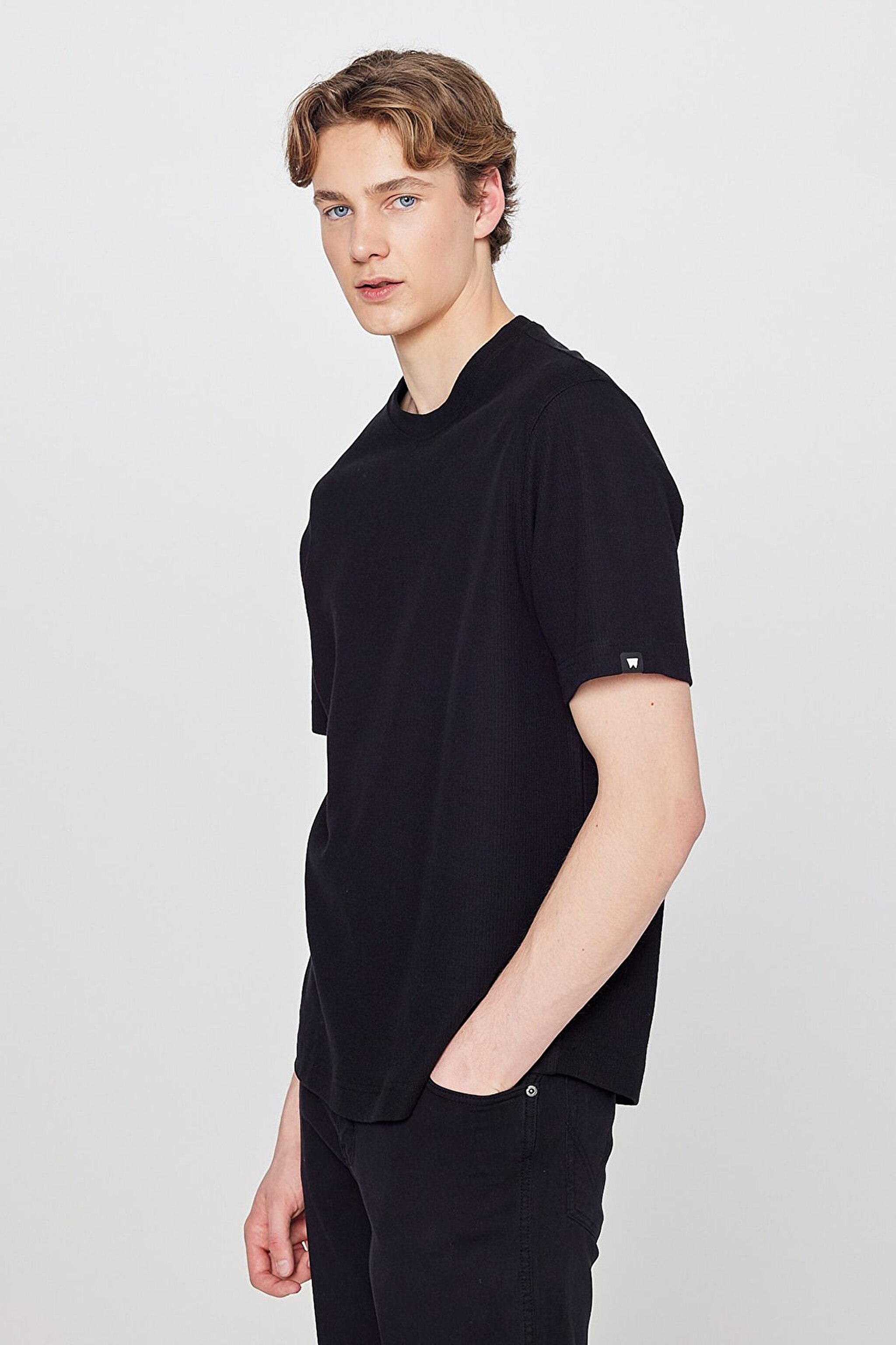 %100 Pamuk Regular Fit Normal Kesim Bisiklet Yaka Basic Premium Tişört - Black-W2610159001 (görsel 4)