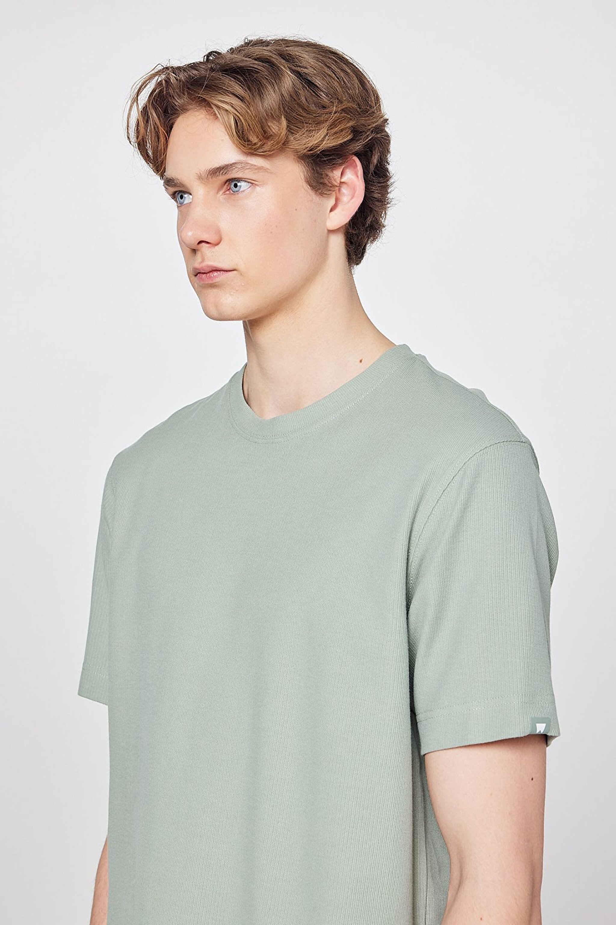 %100 Pamuk Regular Fit Normal Kesim Bisiklet Yaka Basic Premium Tişört - Turquoise-W2610159306 (görsel 4)