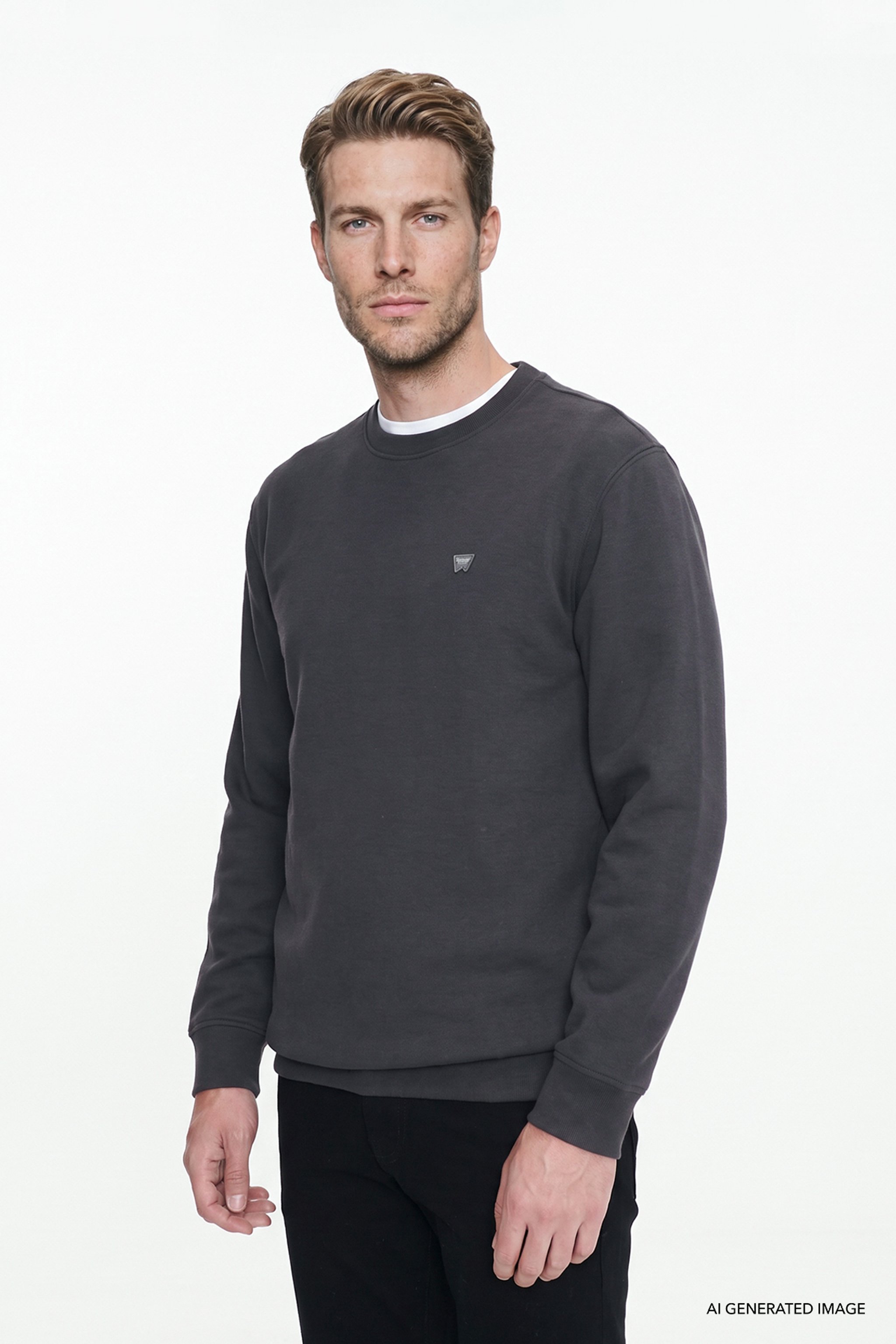Pamuklu Selanik Regular Fit Normal Kesim Bisiklet Yaka Sweatshirt - Anthracita-W2620080003