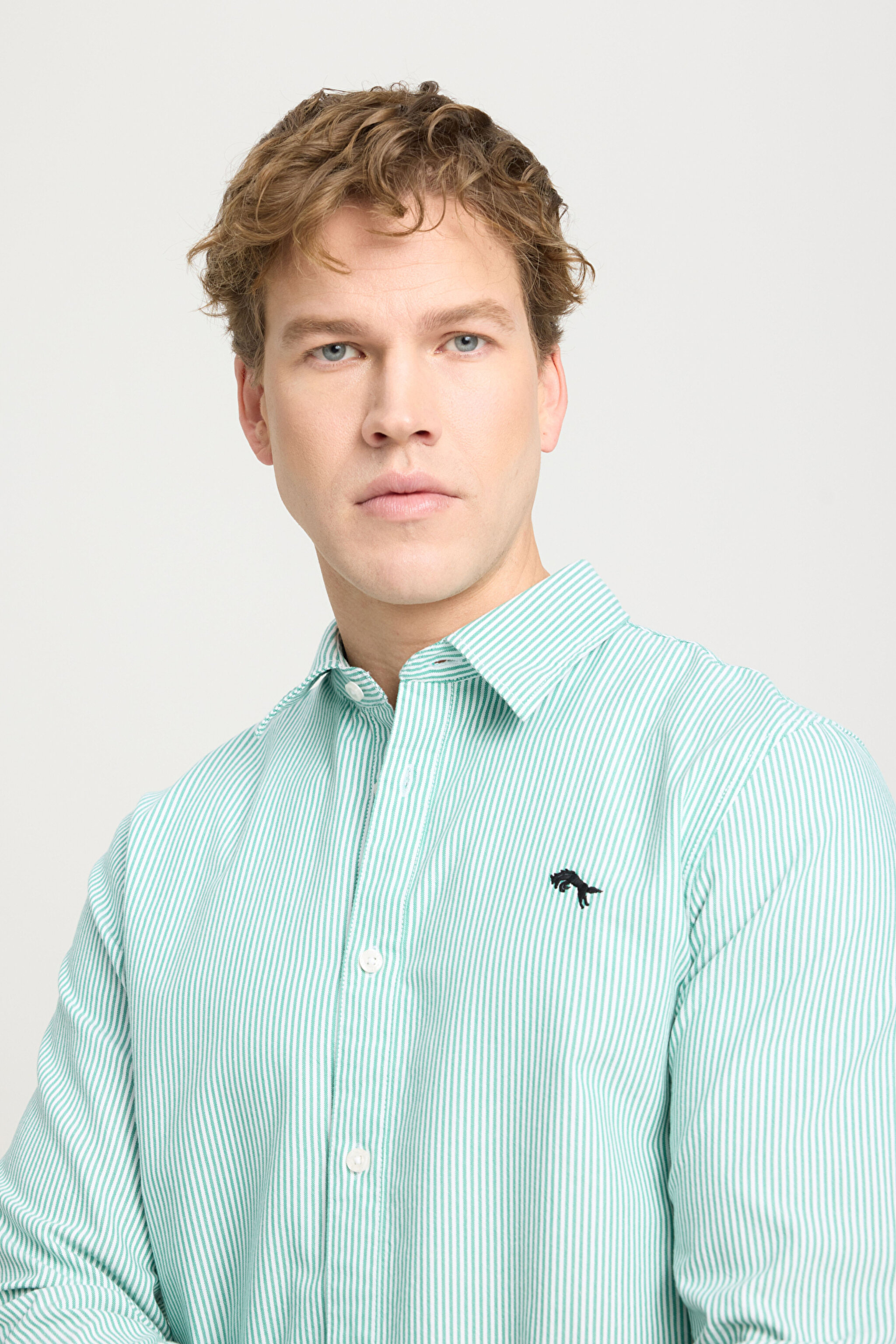 Regular Fit Normal Kesim %100 Pamuk Yeşil Gömlek - Green Stripe Oxford-W5A2205580P80 (görsel 2)