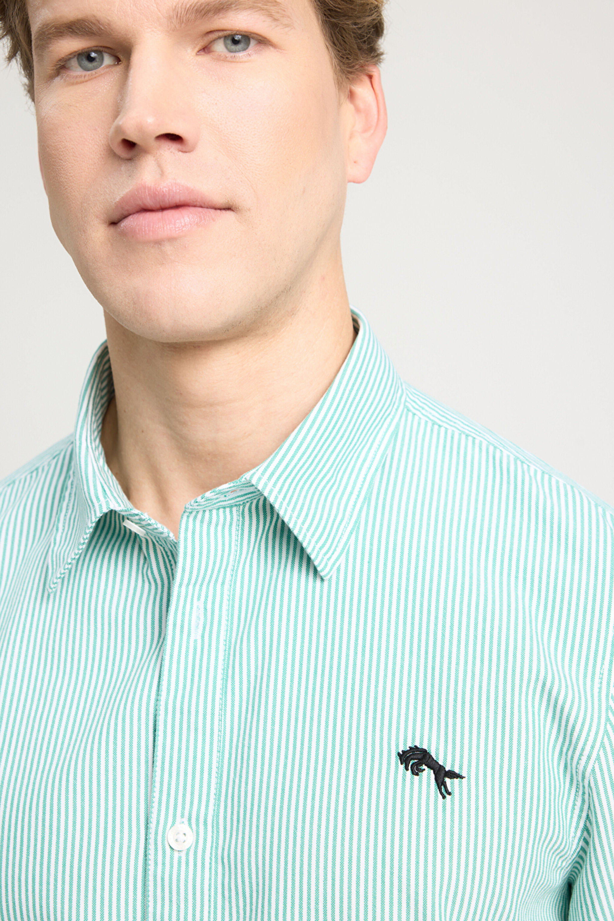 Regular Fit Normal Kesim %100 Pamuk Yeşil Gömlek - Green Stripe Oxford-W5A2205580P80 (görsel 4)