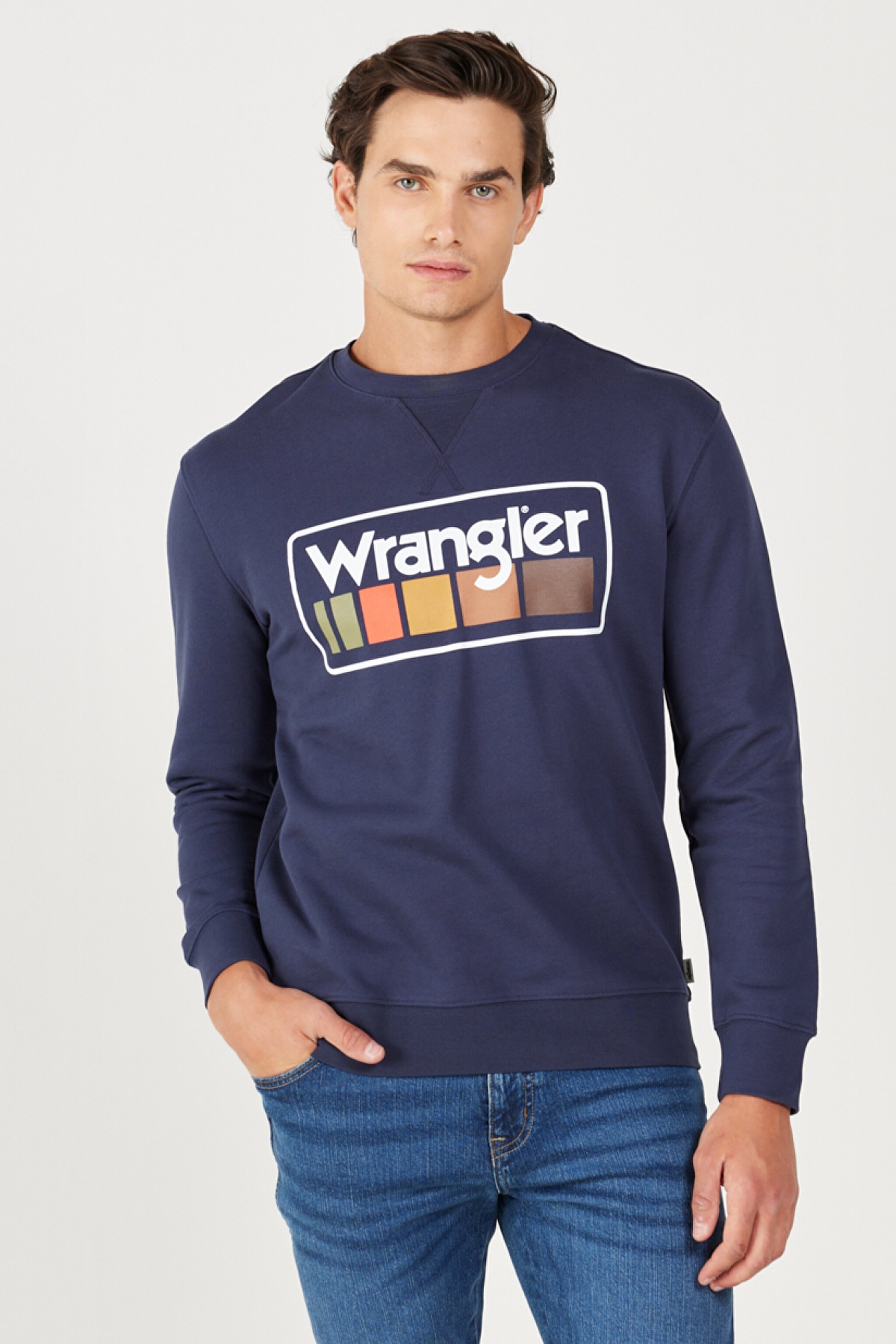 Regular Fit Normal Kesim %100 Pamuk İçi Polarlı Lacivert Sweatshirt - Navy-W646H1114 (görsel 3)