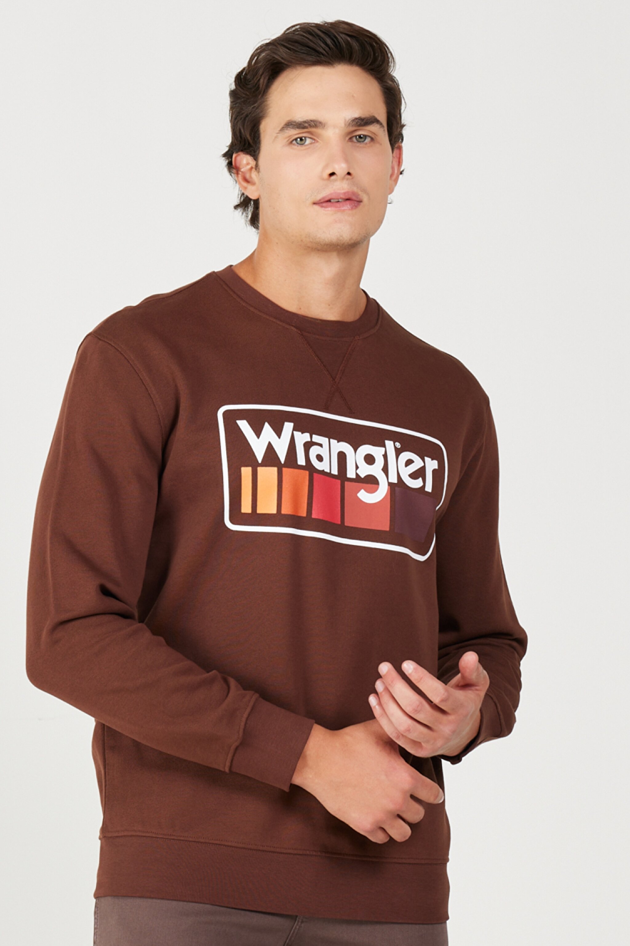 Regular Fit Normal Kesim %100 Pamuk İçi Polarlı Kahverengi Sweatshirt - Potting Soil-W646H1H44 (görsel 2)