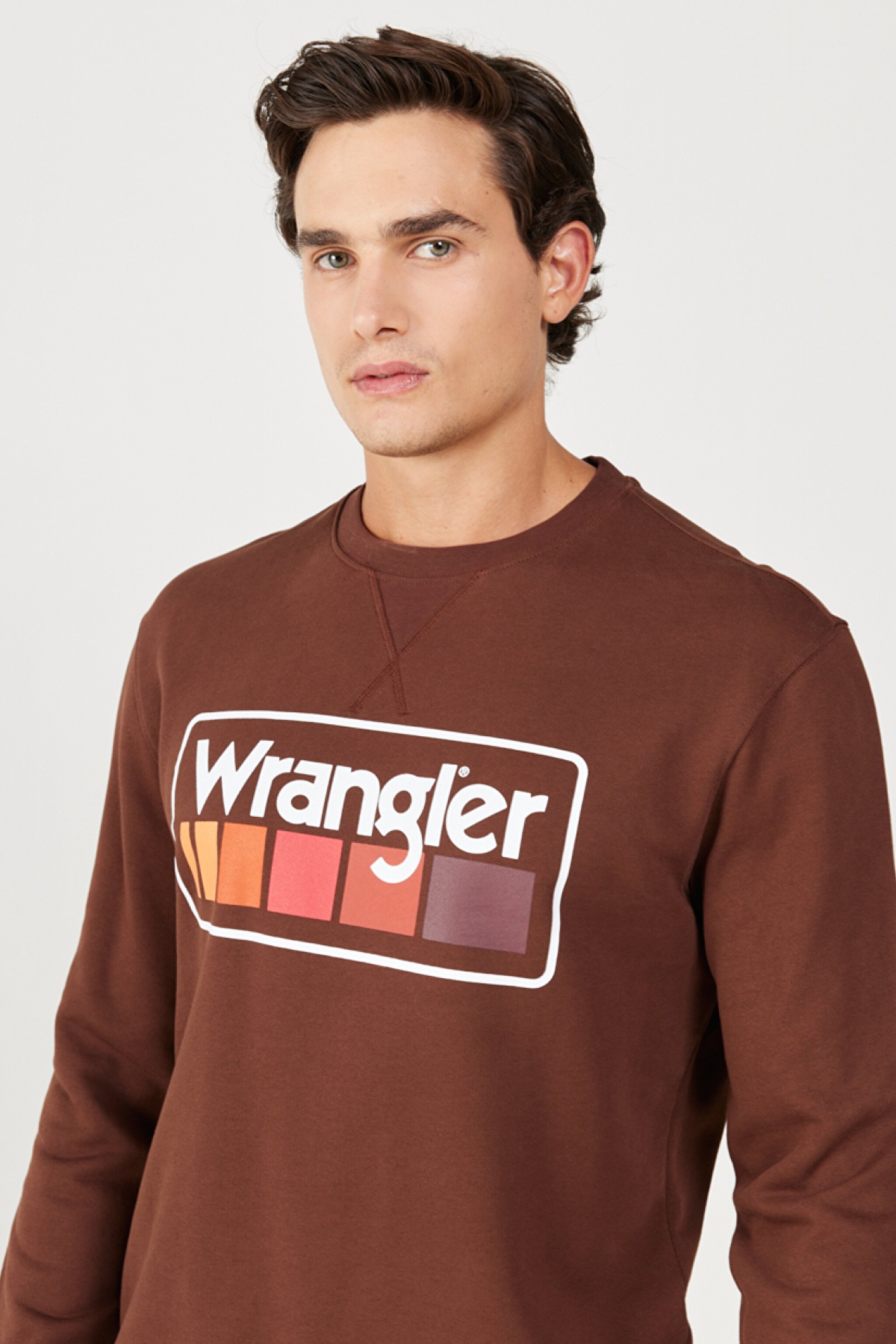 Regular Fit Normal Kesim %100 Pamuk İçi Polarlı Kahverengi Sweatshirt - Potting Soil-W646H1H44 (görsel 3)