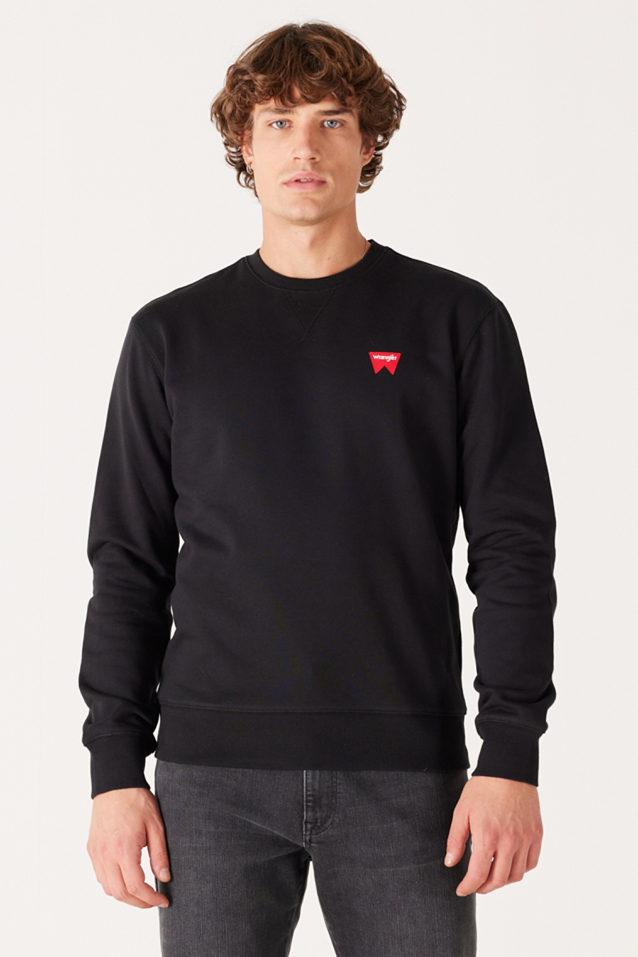 Regular Fit Normal Kesim %100 Pamuk Bisiklet Yaka Siyah Sweatshirt