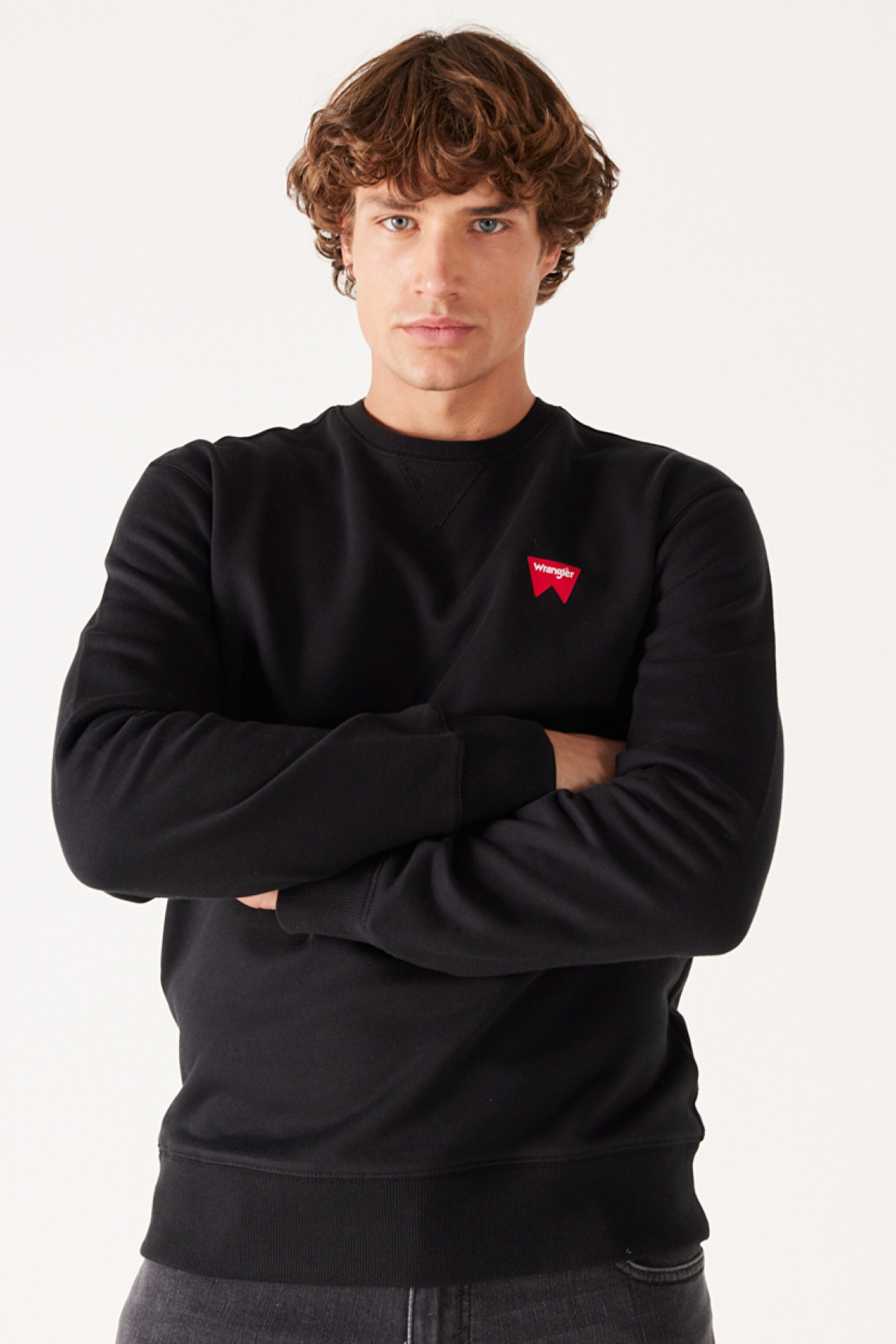 Regular Fit Normal Kesim %100 Pamuk Bisiklet Yaka Siyah Sweatshirt - Black-W661HA100 (görsel 2)