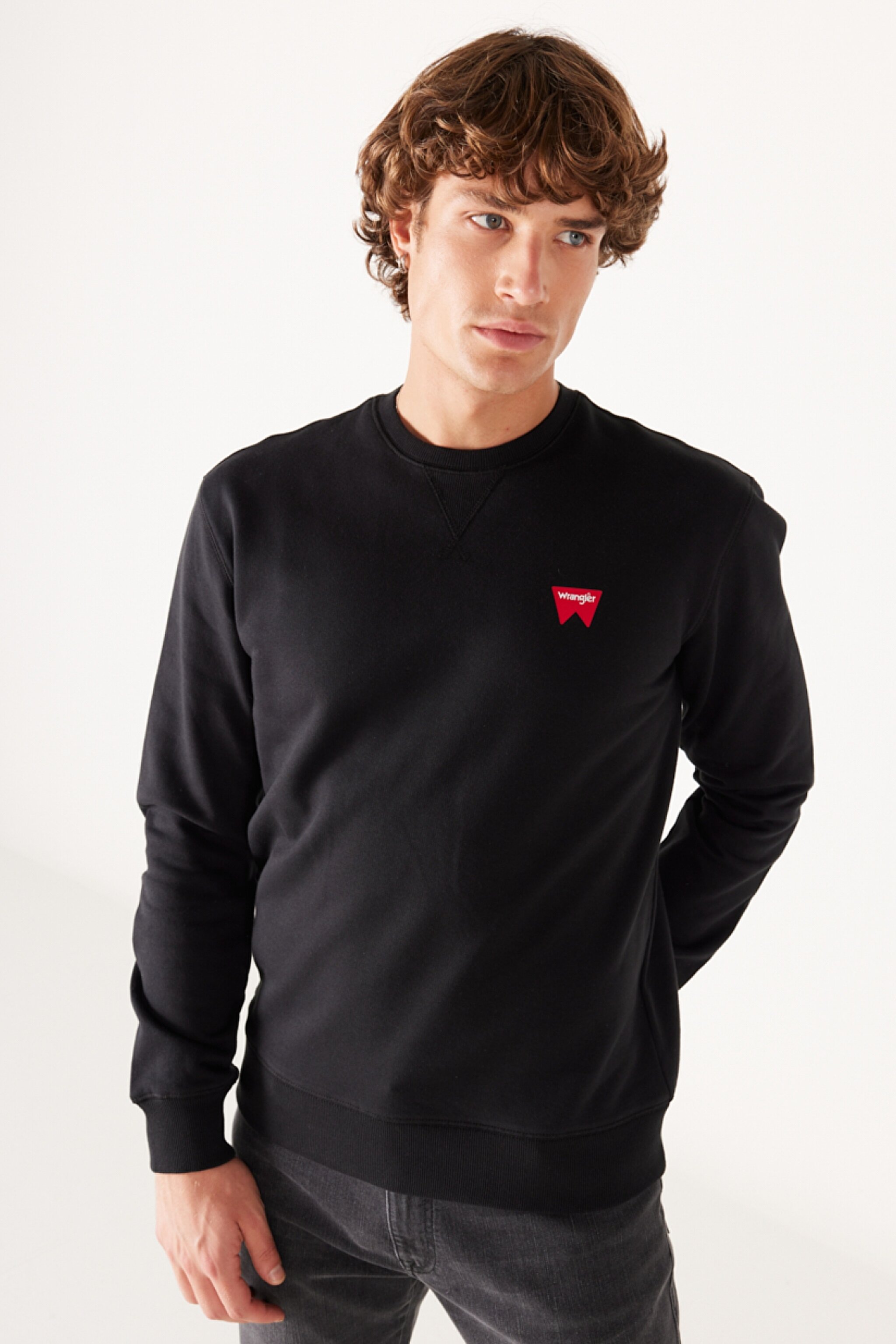 Regular Fit Normal Kesim %100 Pamuk Bisiklet Yaka Siyah Sweatshirt - Black-W661HA100 (görsel 3)