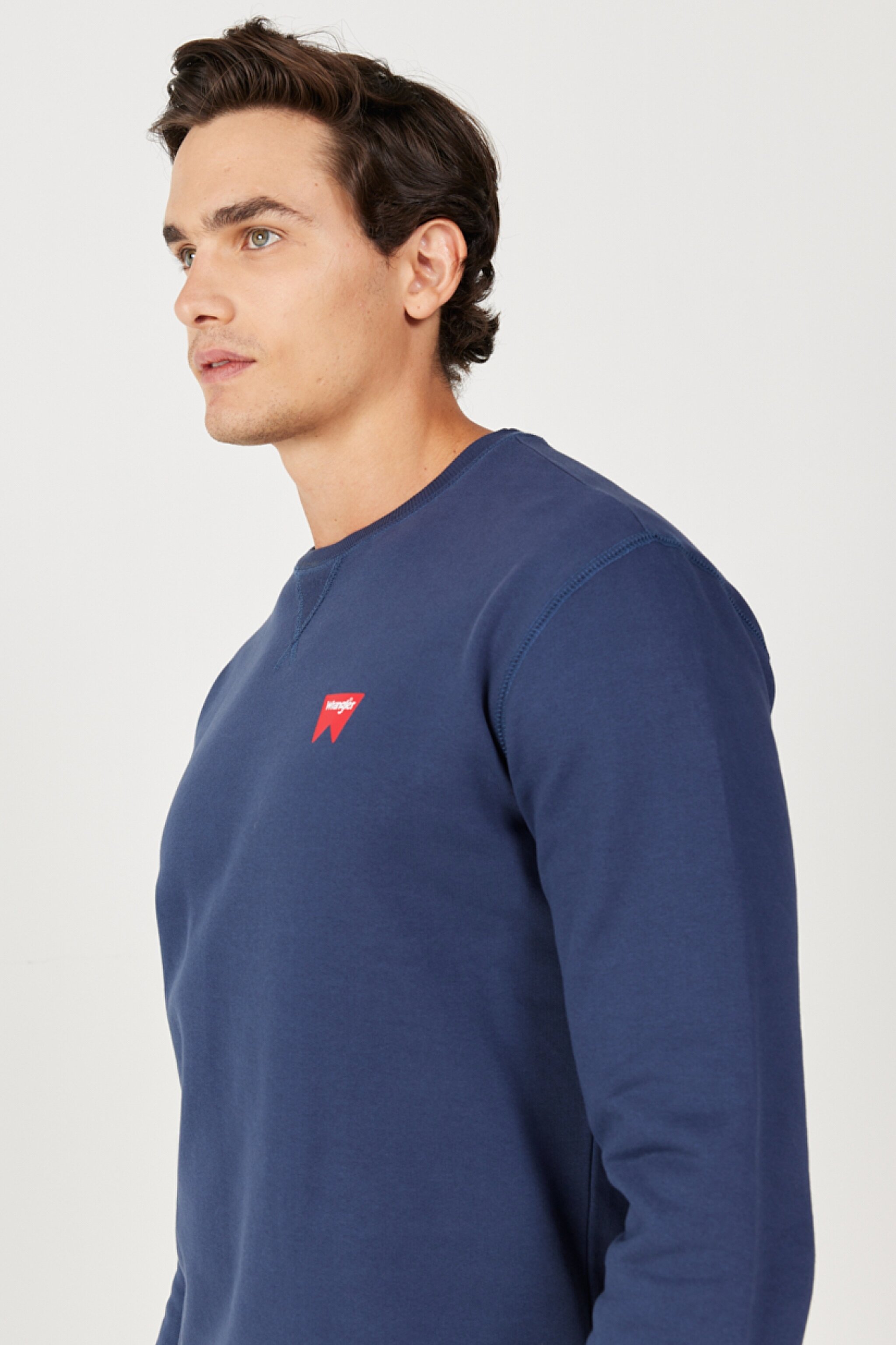 Regular Fit Normal Kesim %100 Pamuk Bisiklet Yaka Lacivert Swetshirt - Navy-W661HA114 (görsel 4)