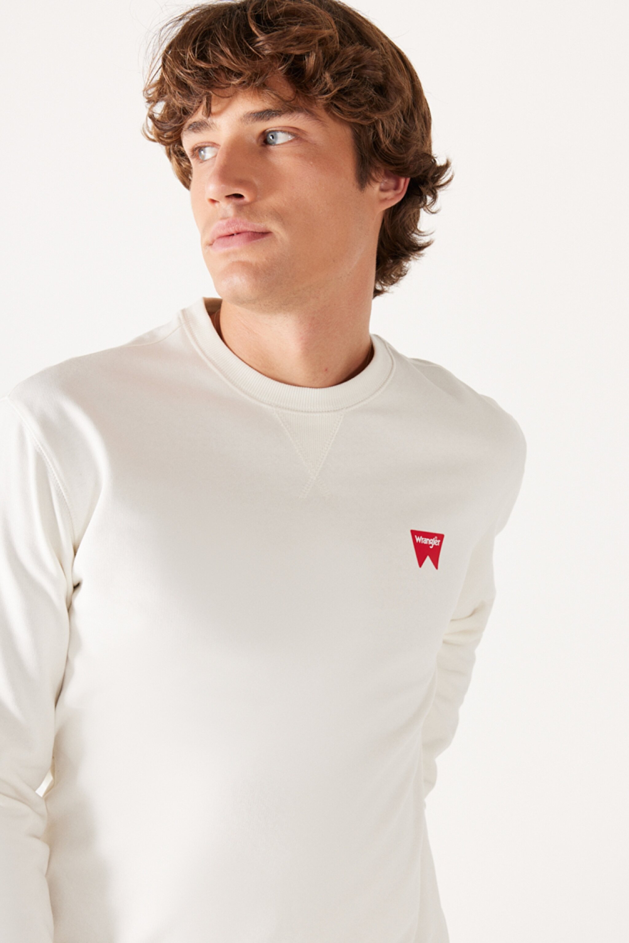 Regular Fit Normal Kesim %100 Pamuk İçi Polarlı Kırık Beyaz Sweatshirt - Worn White-W661HAW02 (görsel 3)