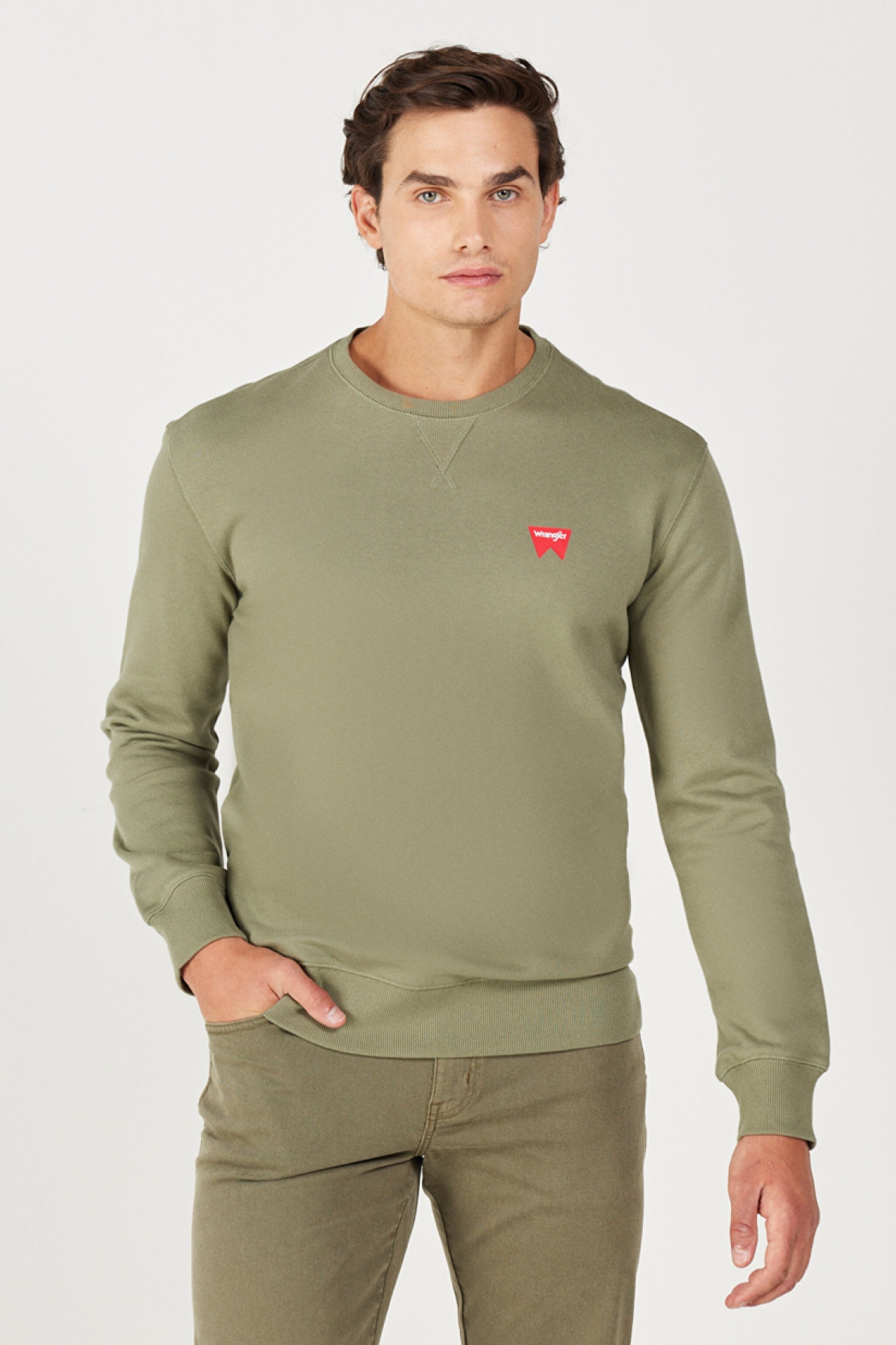 Regular Fit Normal Kesim %100 Pamuk Bisiklet Yaka Sweatshirt