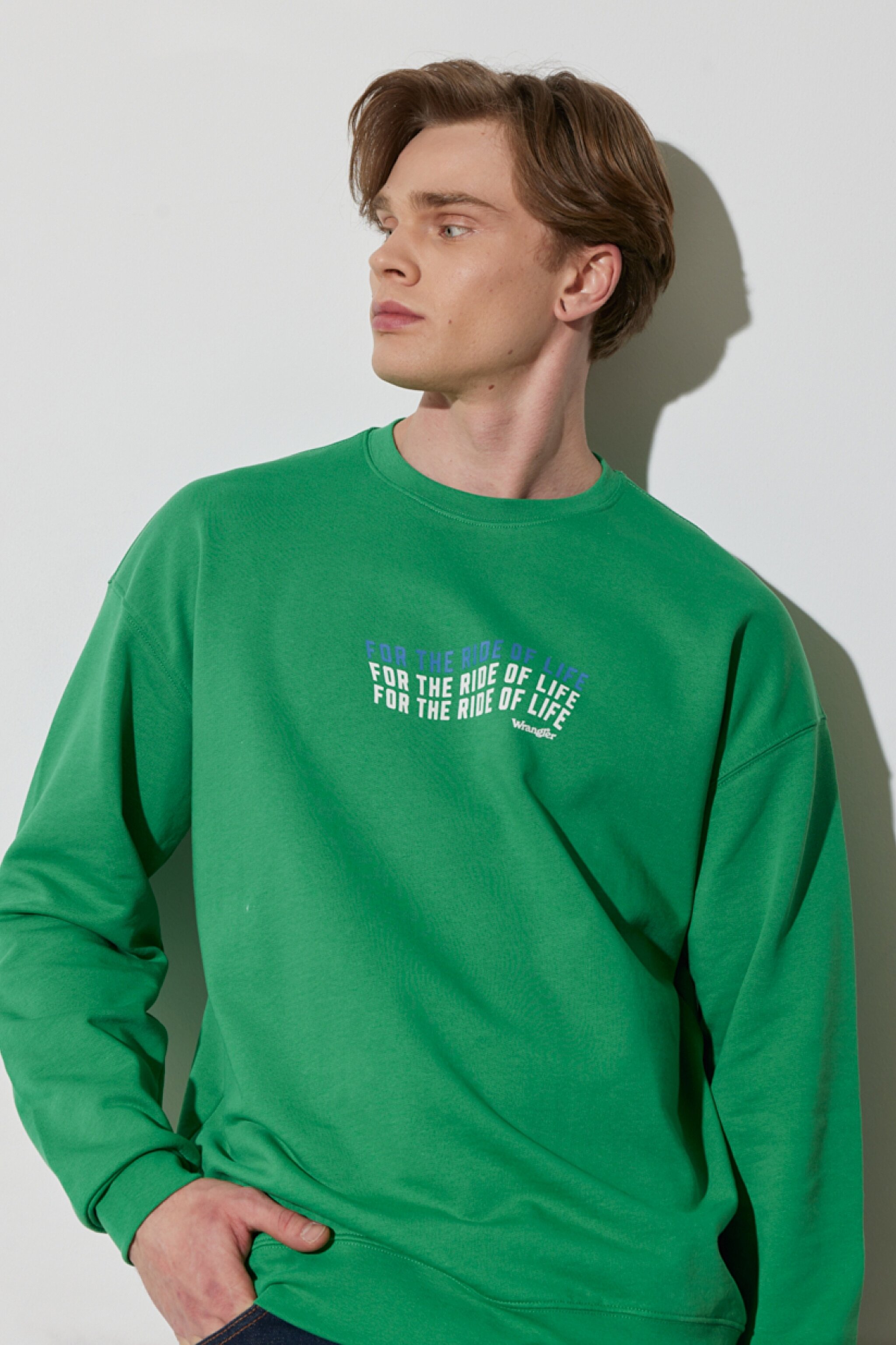 Regular Fit Normal Kesim %100 Pamuk Bisiklet Yaka Yeşil Sweatshirt - Leprechaun Green-W676I4G30
