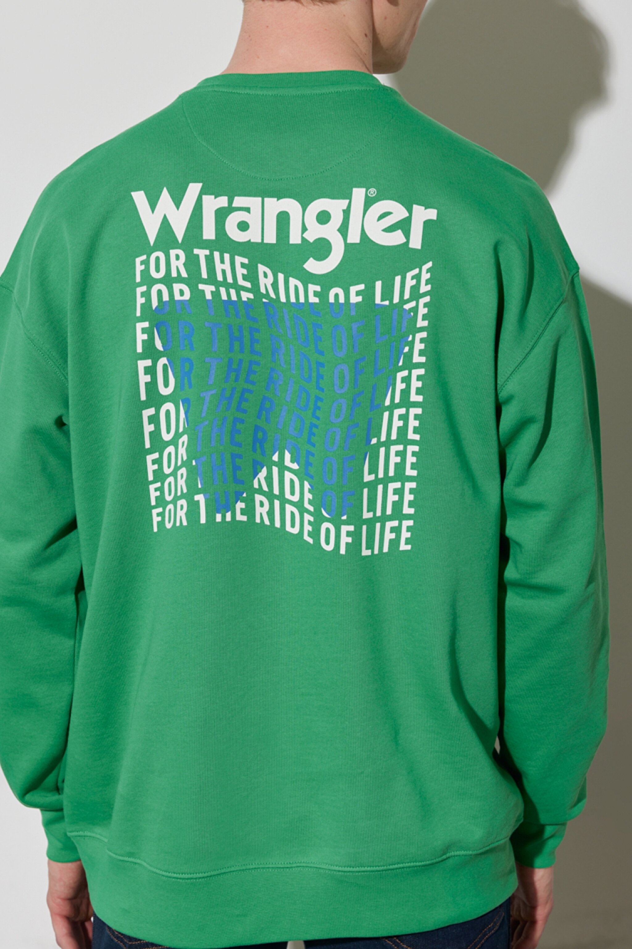 Regular Fit Normal Kesim %100 Pamuk Bisiklet Yaka Yeşil Sweatshirt - Leprechaun Green-W676I4G30 (görsel 4)