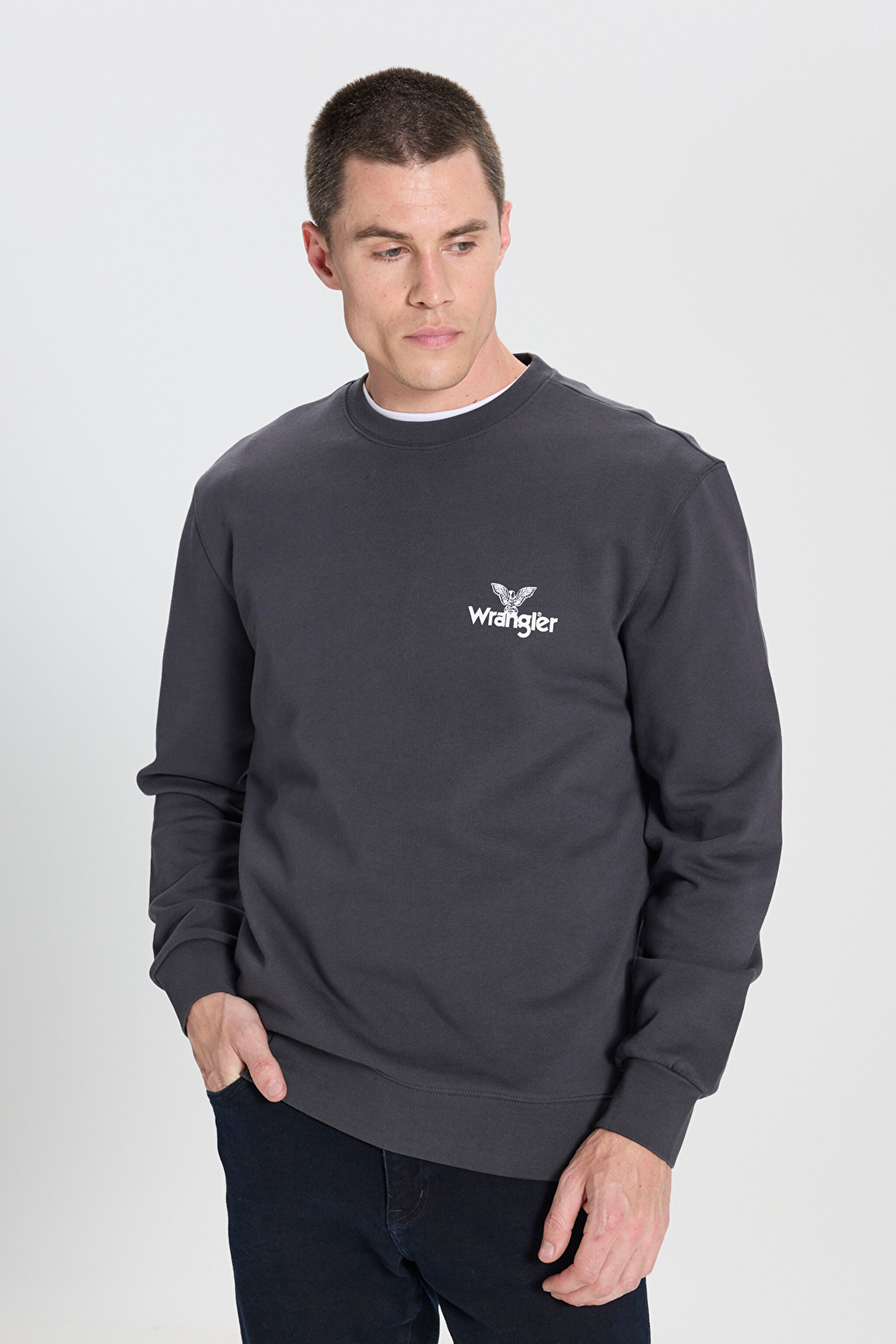 Regular Fit Normal Kesim Bisiklet Yaka %100 Pamuk Antrasit Sweatshirt
