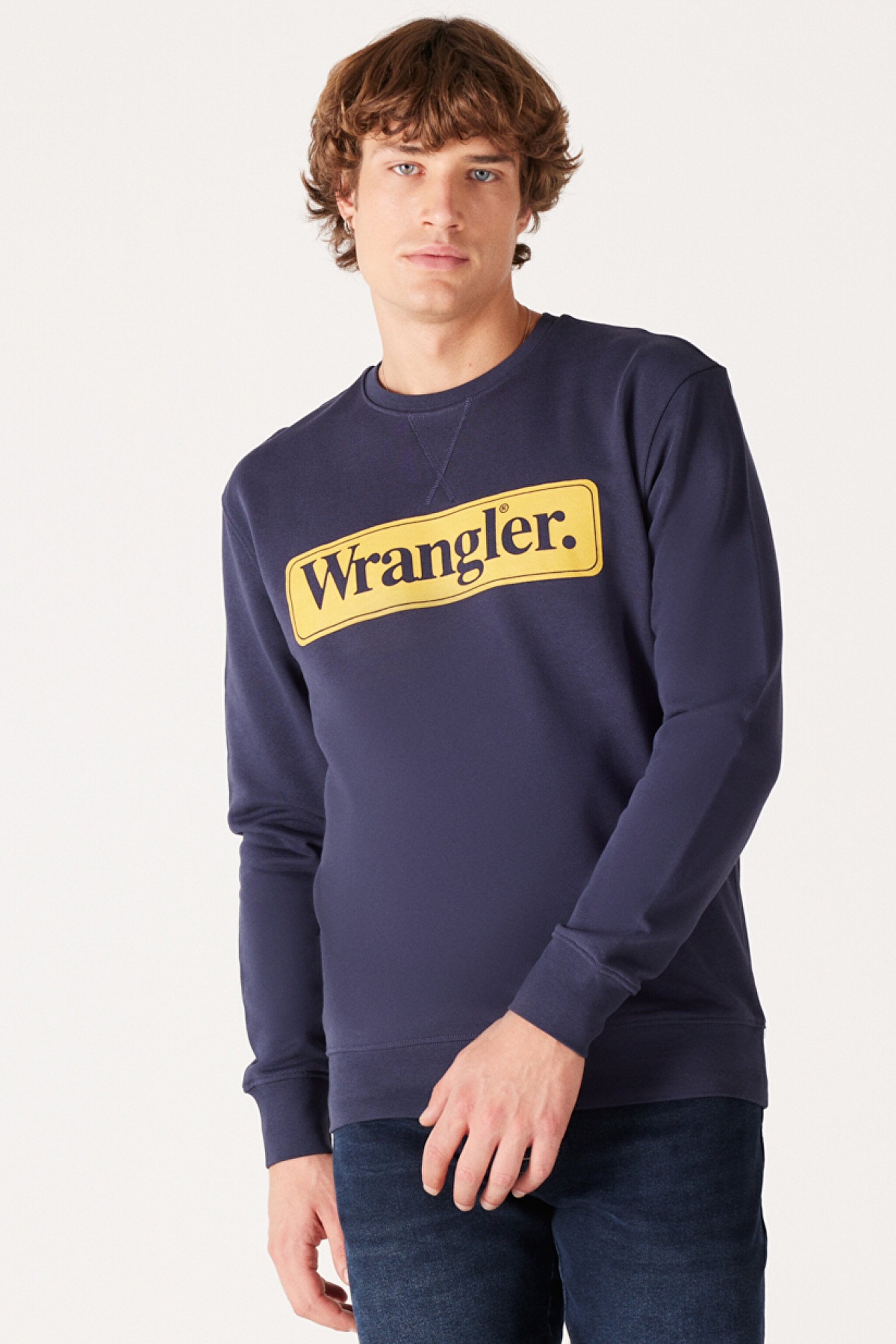 Regular Ft Normal Kesim %100 Pamuk İçi Polarlı Lacivert Sweatshirt