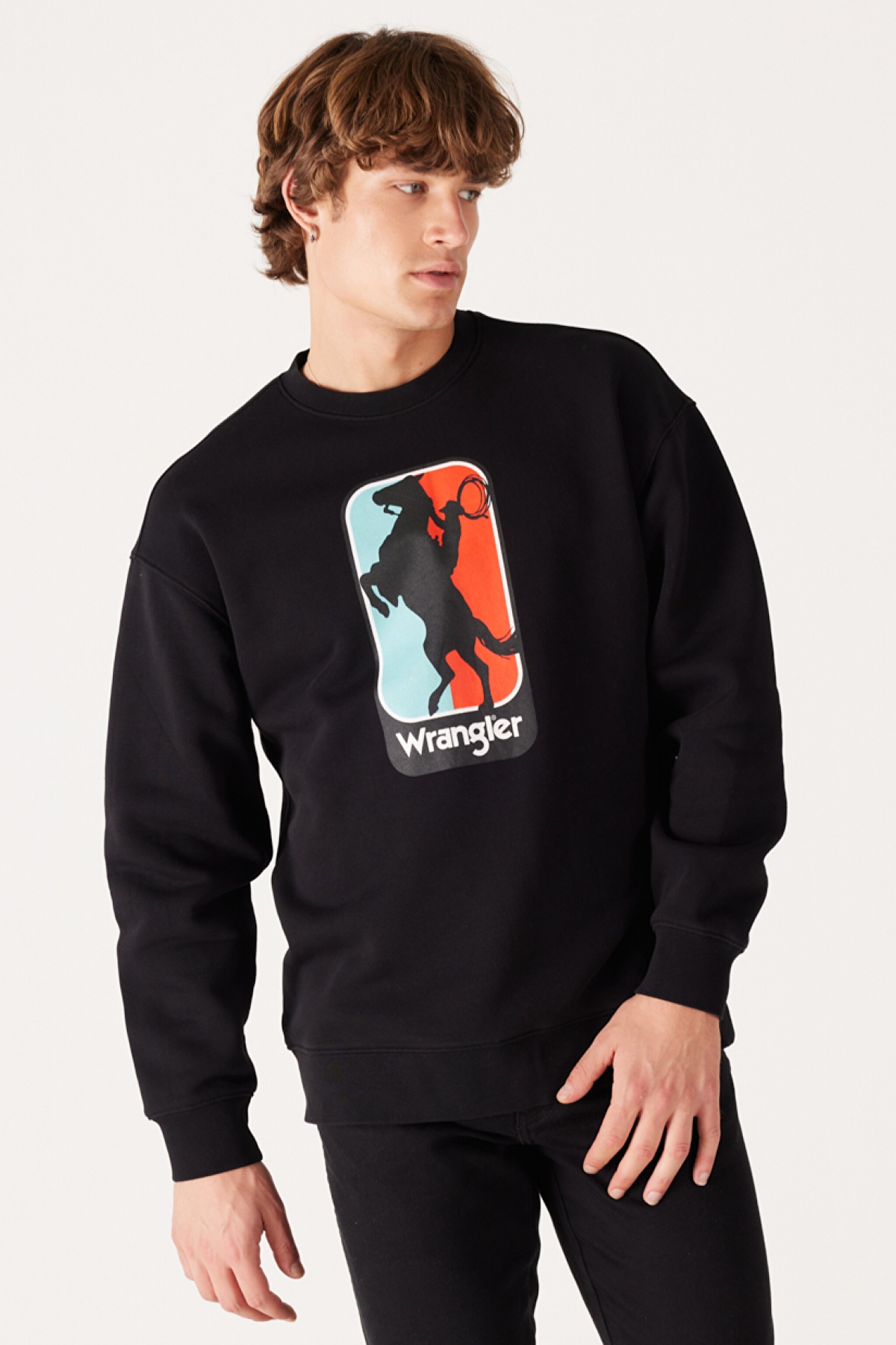 Regular Fit Normal Kesim %100 Pamuk Bisiklet Yaka İçi Polarlı Siyah Sweatshirt - Faded Black-W6L7IYXV6 (görsel 2)