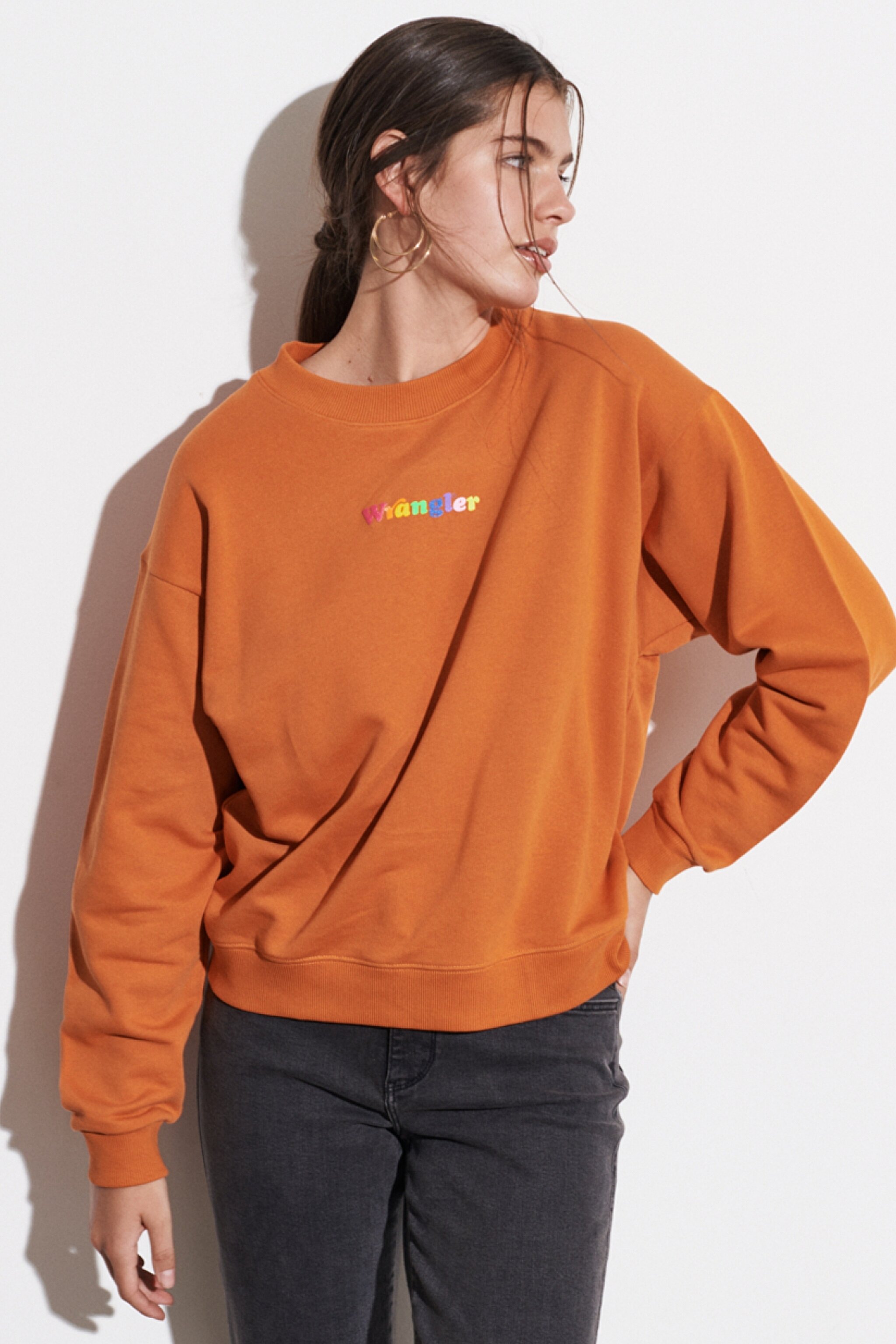 Regular Fit Normal Kesim %100 Pamuk Bisiklet Yaka Turuncu Sweatshirt