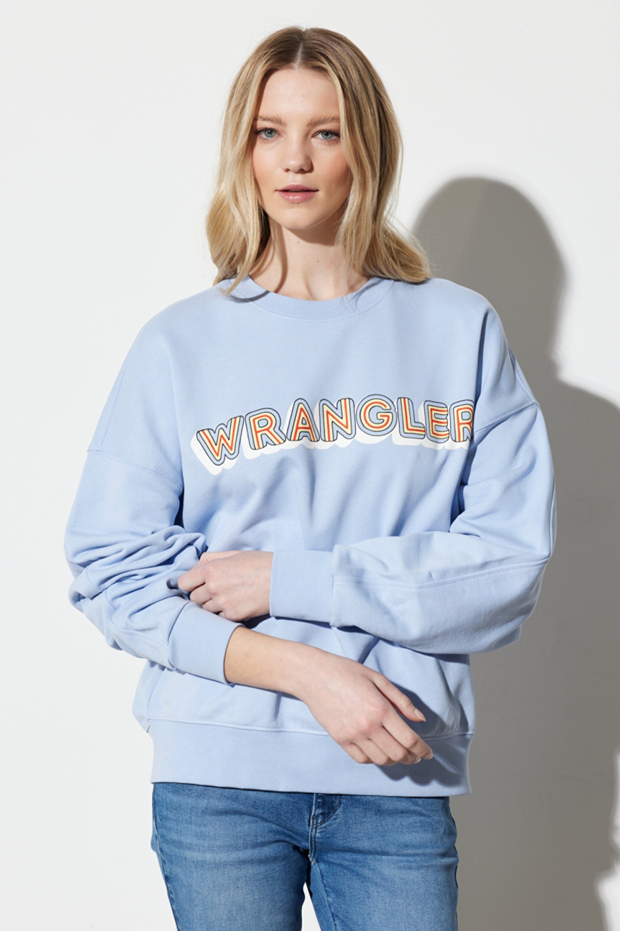 Regular Fit Normal Kesim %100 Pamuk Bisiklet Yaka Mavi Sweatshirt - Brunnera Blue-W6R4HAB23 (görsel 2)