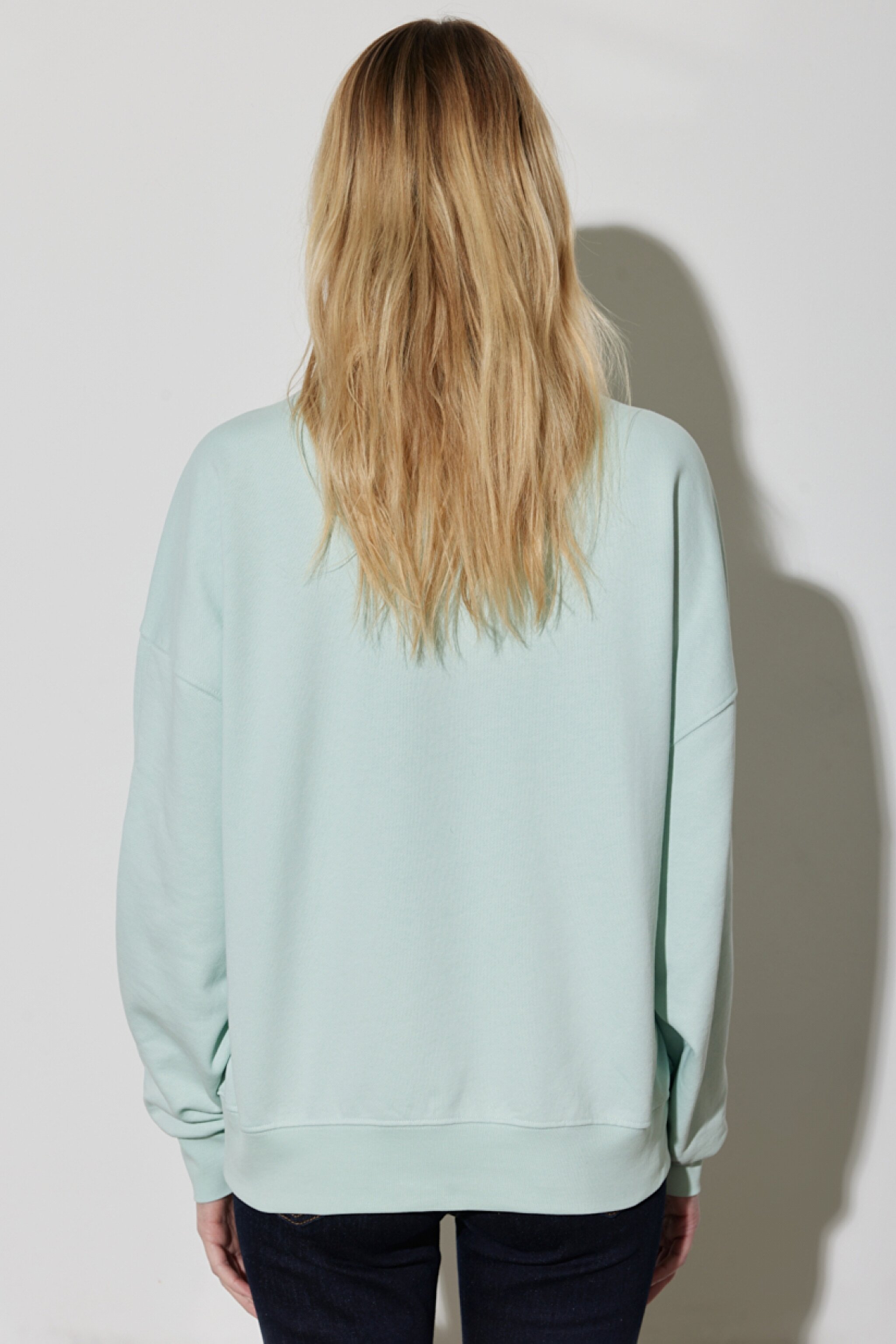Regular Fit Normal Kesim %100 Pamuk Bisiklet Yaka Mint Yeşili Sweatshirt - Surf Spray-W6R4HAX6U (görsel 4)