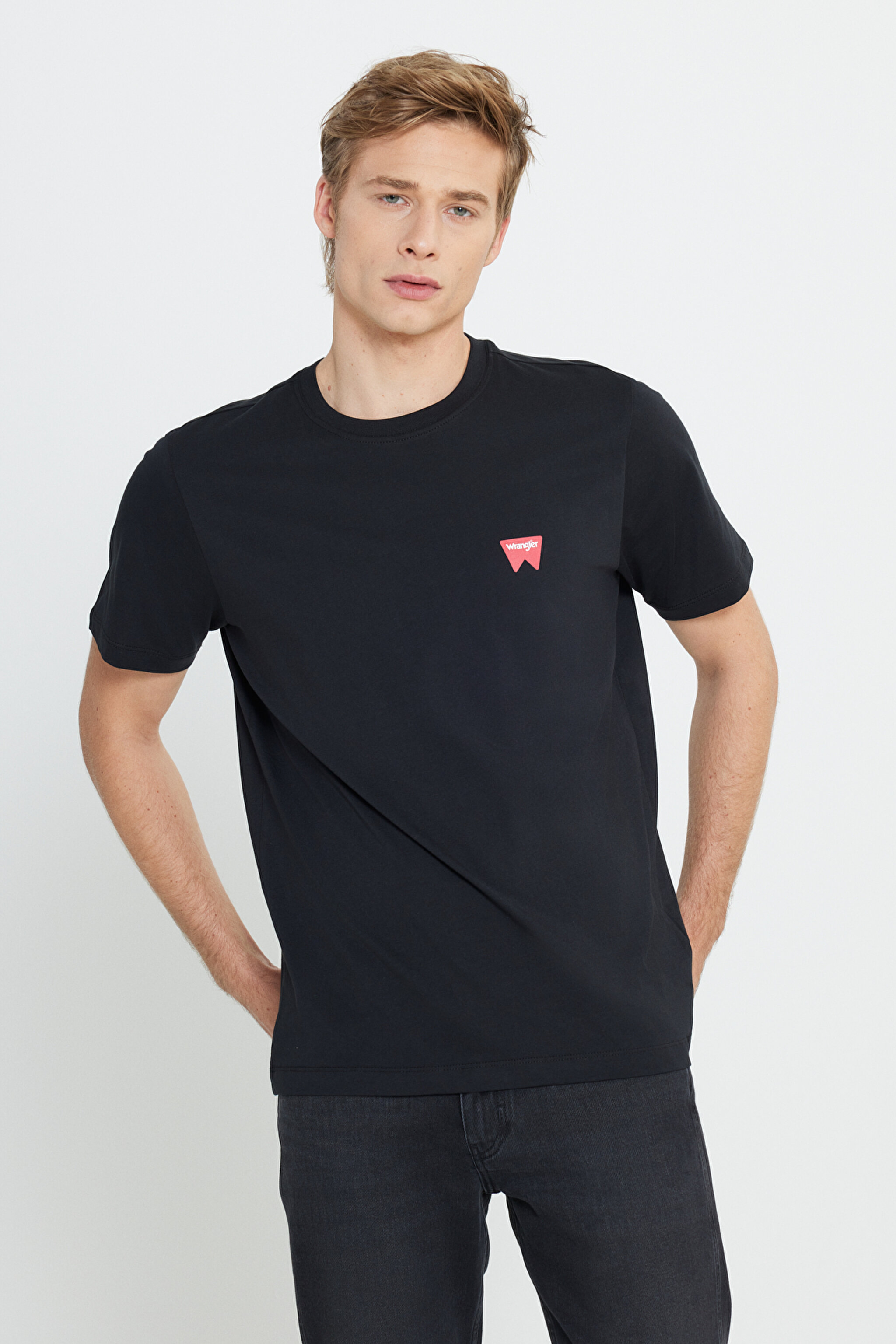 Regular Fit Normal Kesim Bisiklet Yaka %100 Pamuk Siyah Tişört - Black-W70MD3001