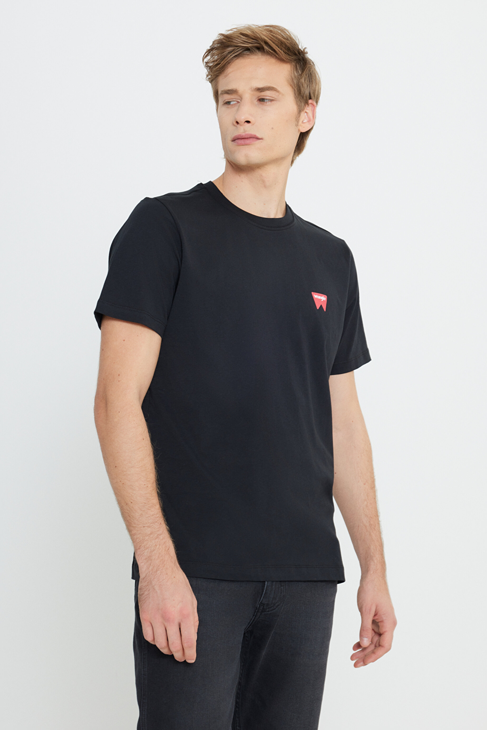 Regular Fit Normal Kesim Bisiklet Yaka %100 Pamuk Siyah Tişört - Black-W70MD3001 (görsel 2)